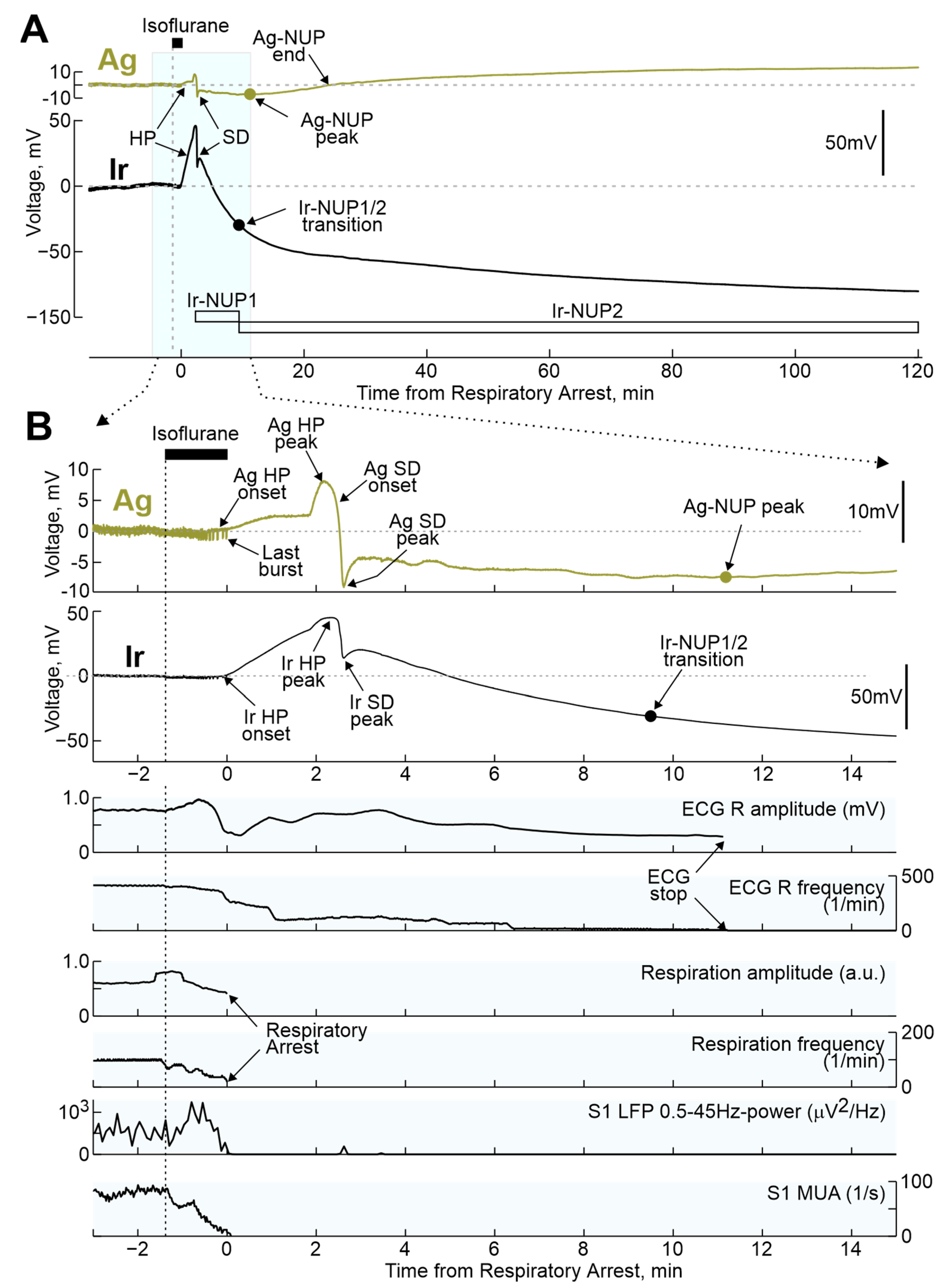 Ijms 24 10769 g002 Ijms 24 10769 g002