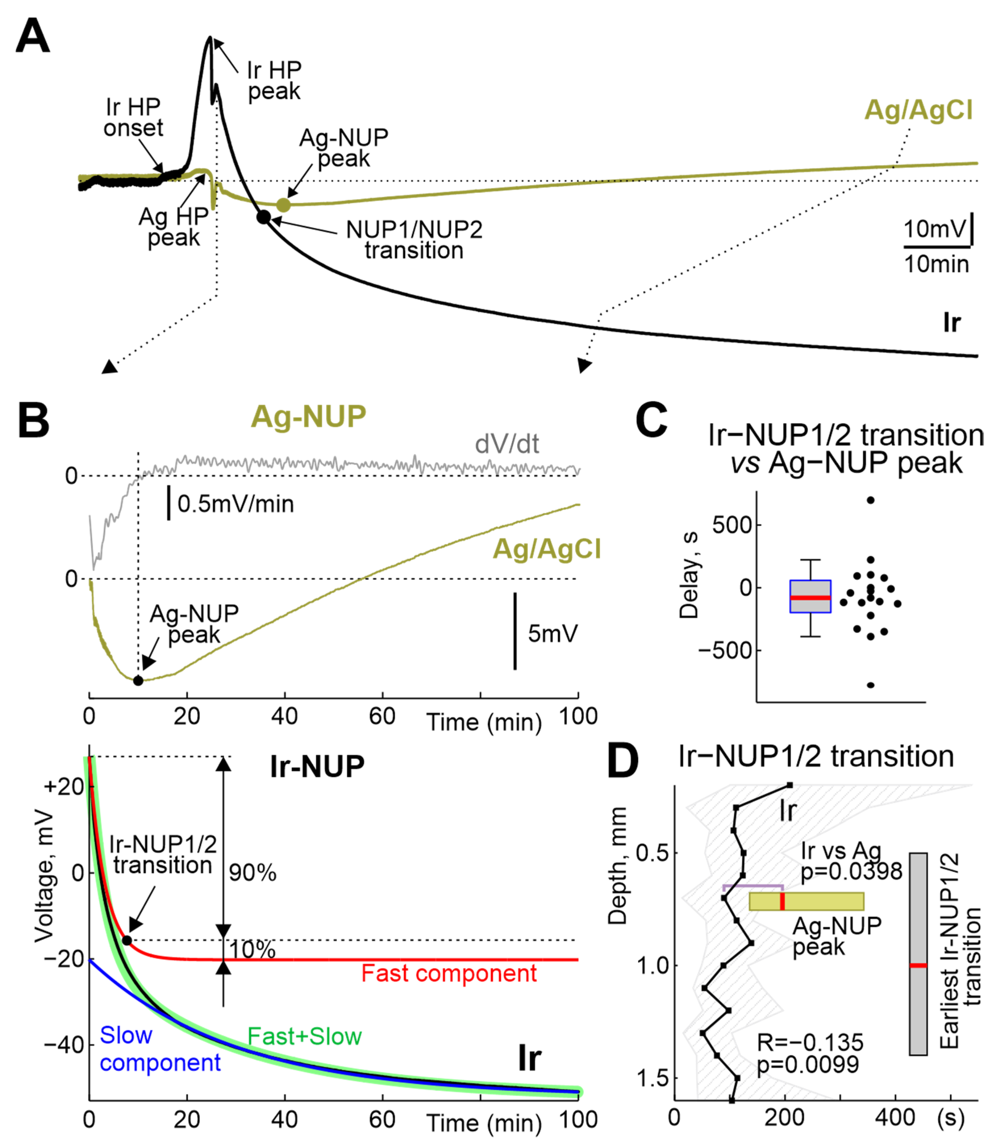 Ijms 24 10769 g005 Ijms 24 10769 g005