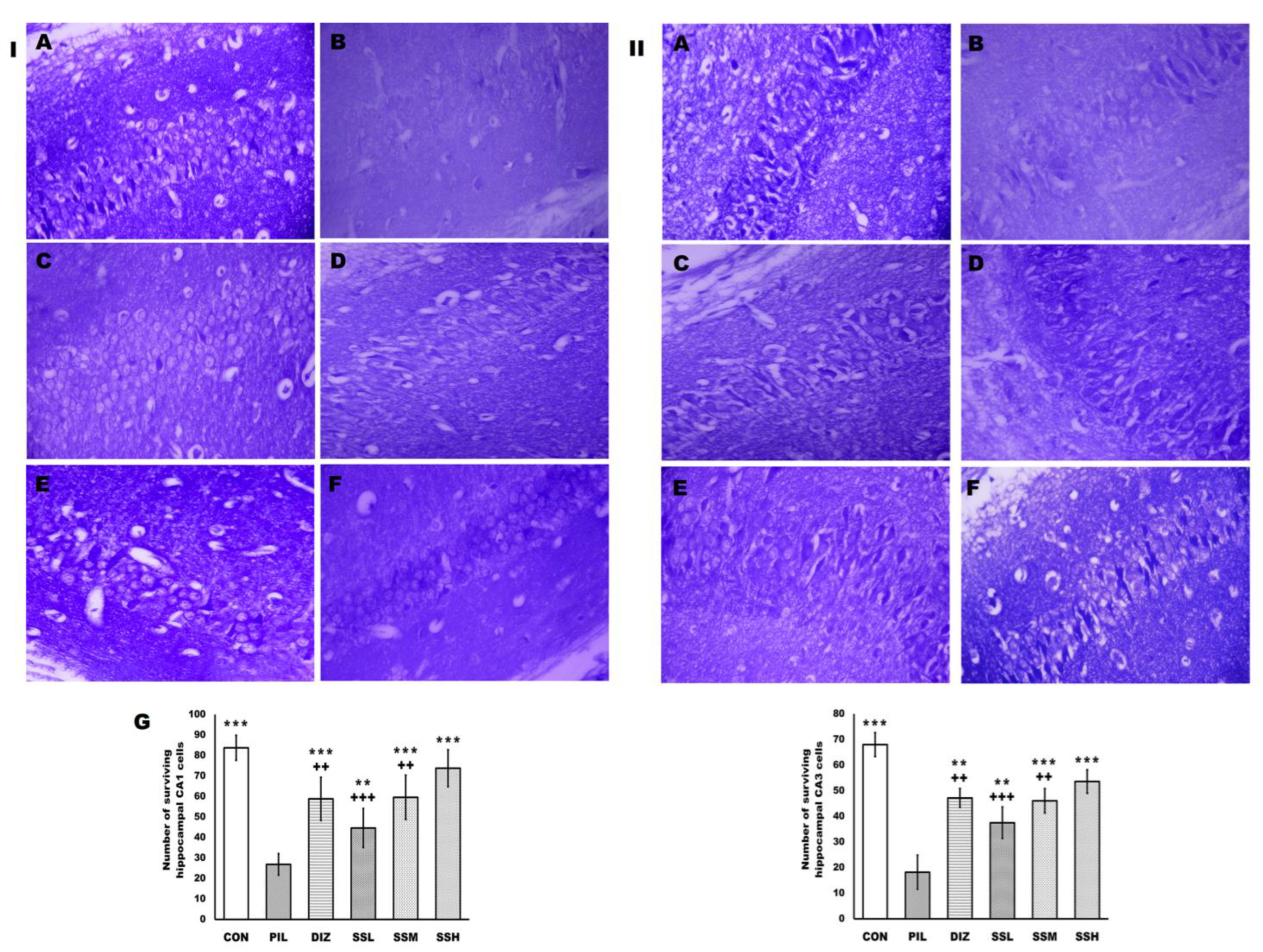 Ijms 24 10773 g008 Ijms 24 10773 g008