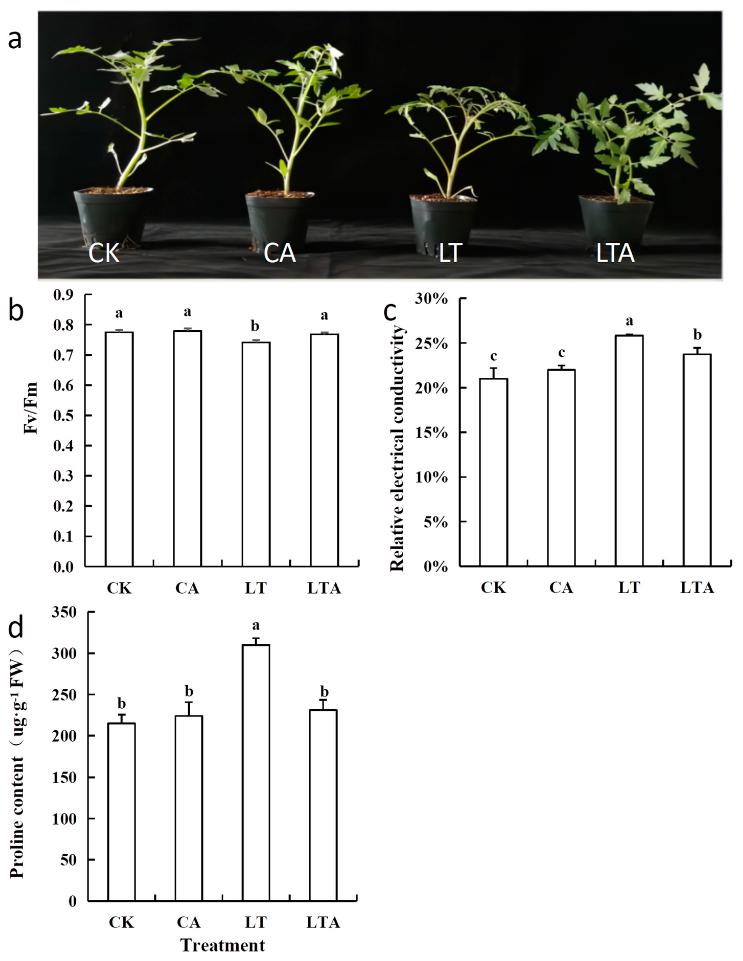 Crosstalk between 5-Aminolevulinic Acid and Abscisic Acid