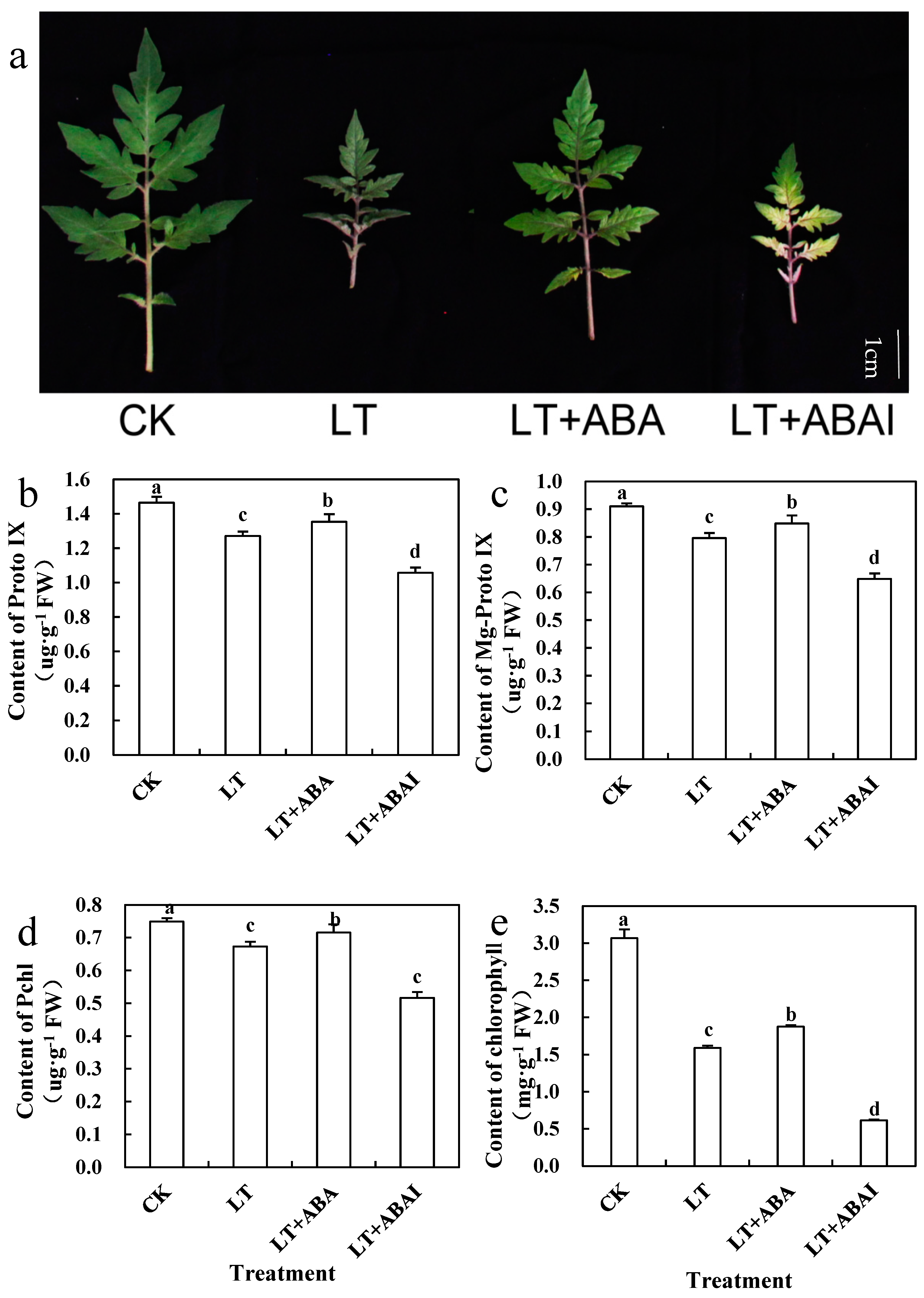 Ijms 24 10781 g008 Ijms 24 10781 g008