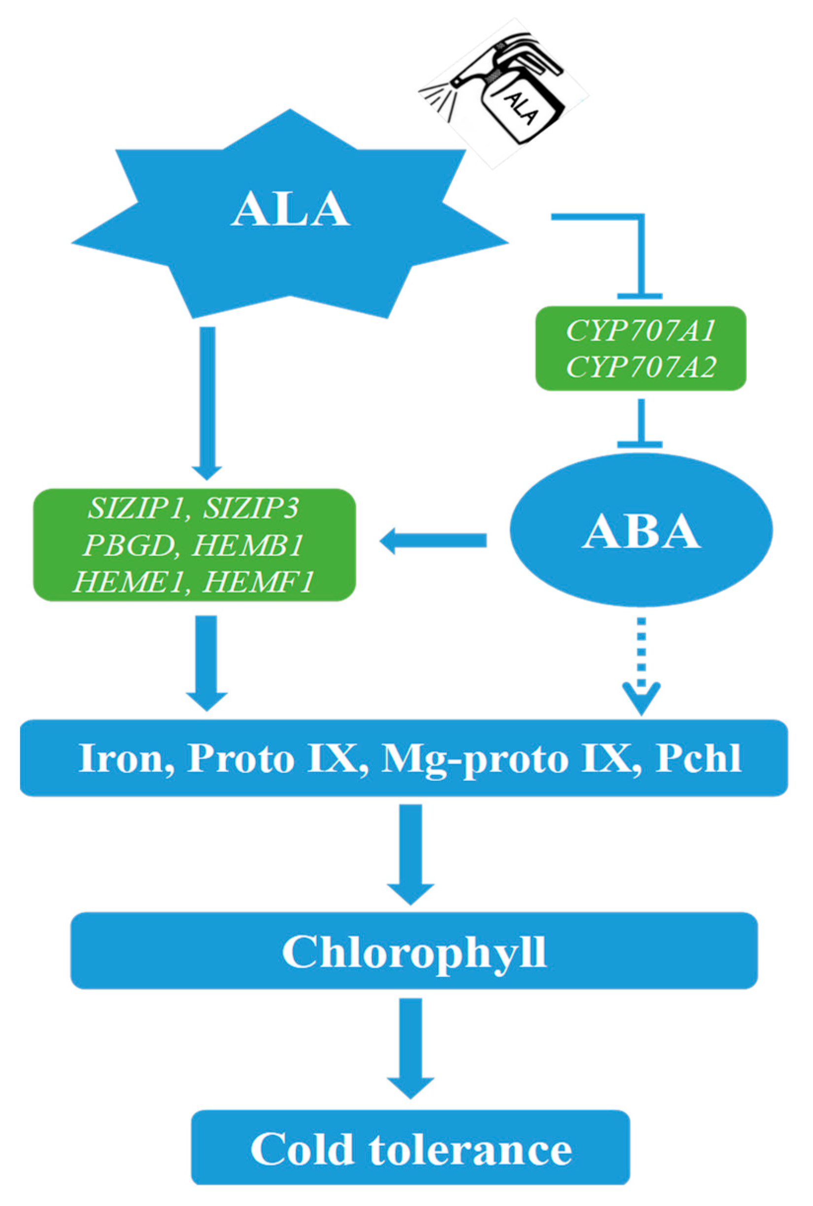 Ijms 24 10781 g012 Ijms 24 10781 g012