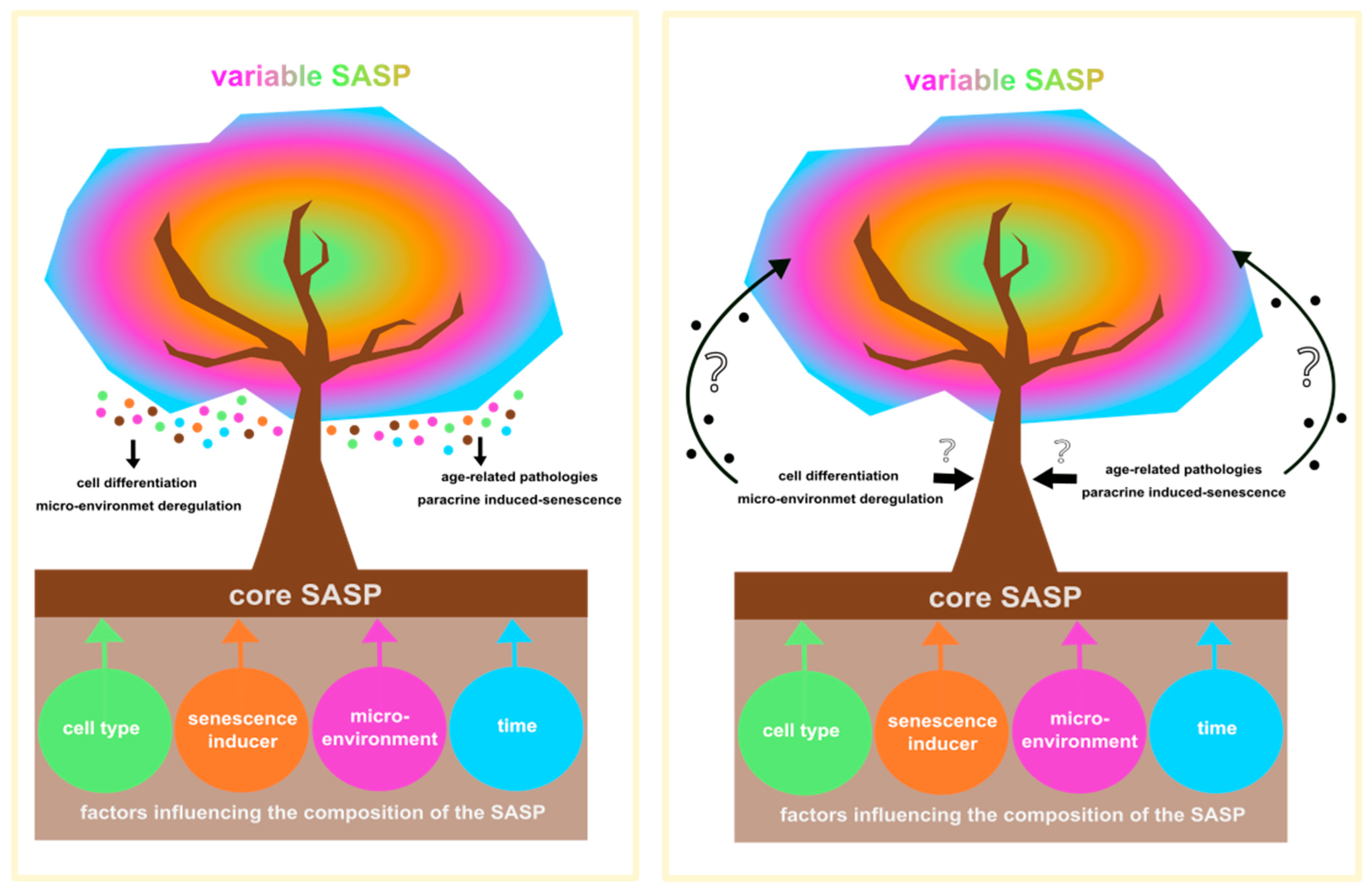 Ijms 24 10788 g002 Ijms 24 10788 g002