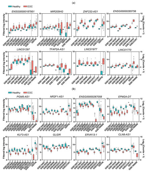 Identification of lncRNAs Deregulated in Epithelial Ovarian