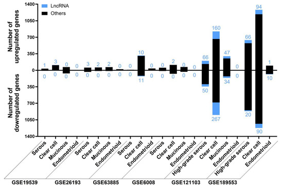 Identification of lncRNAs Deregulated in Epithelial Ovarian Cancer