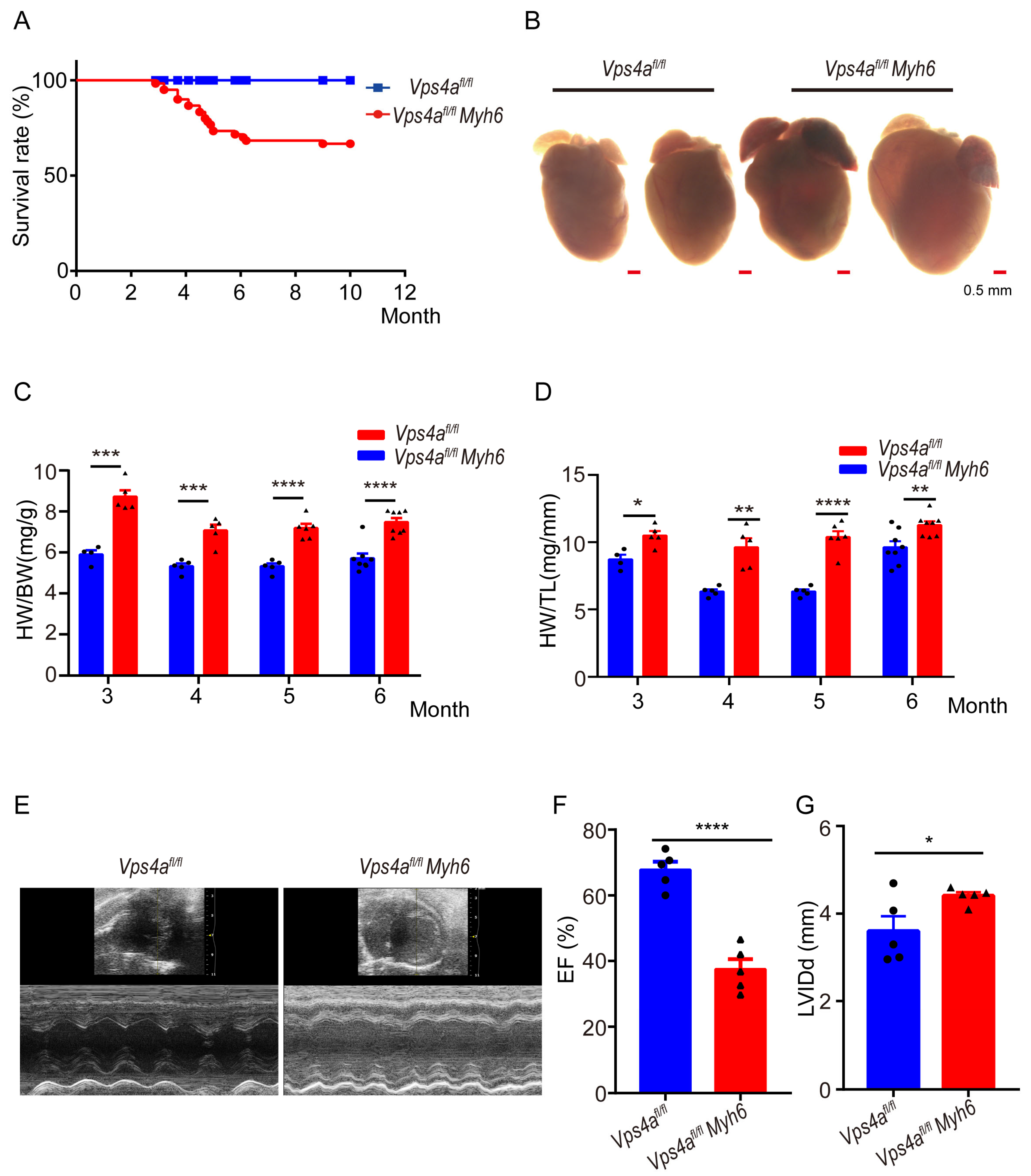 Ijms 24 10800 g001 Ijms 24 10800 g001