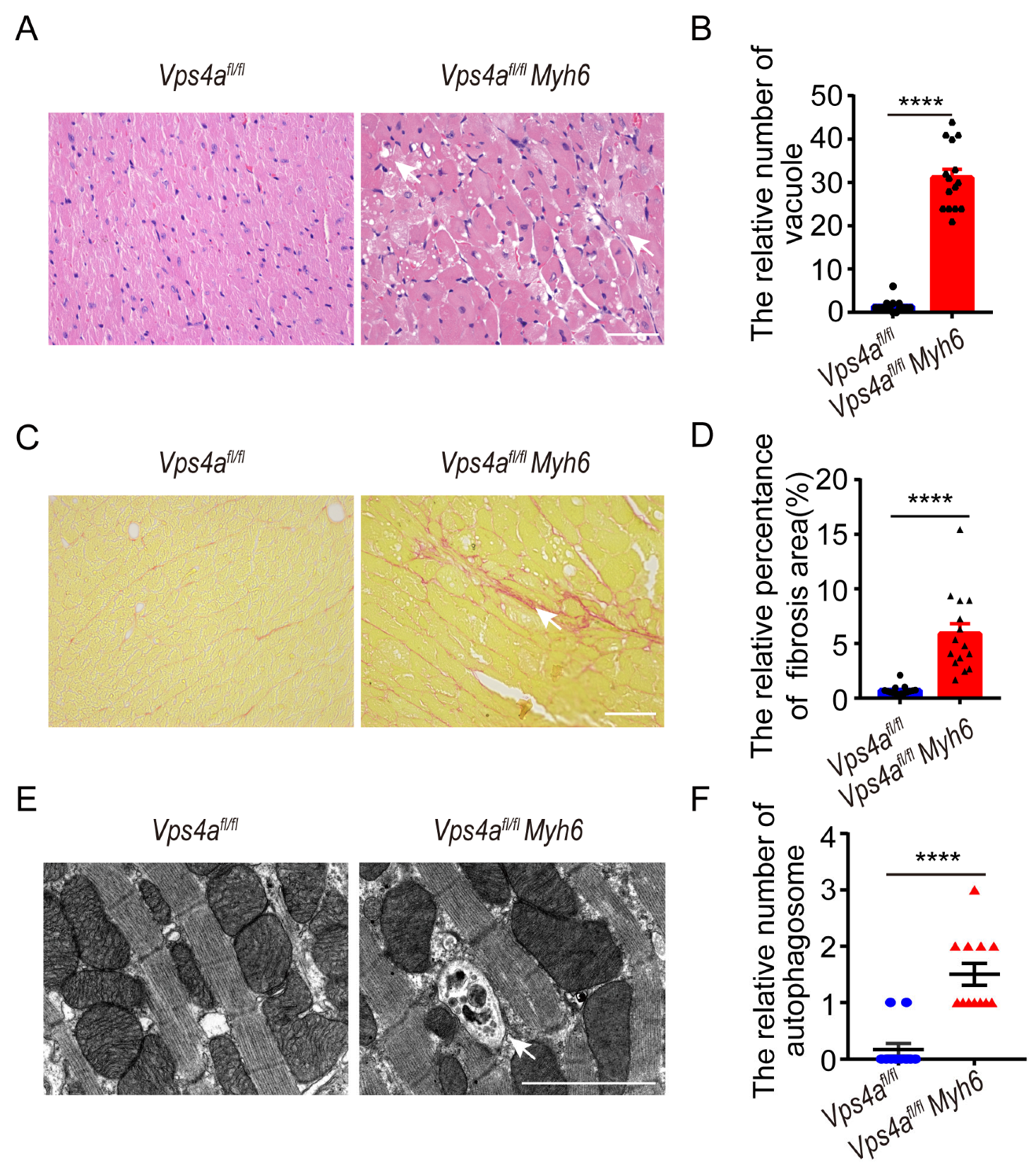 Ijms 24 10800 g002 Ijms 24 10800 g002