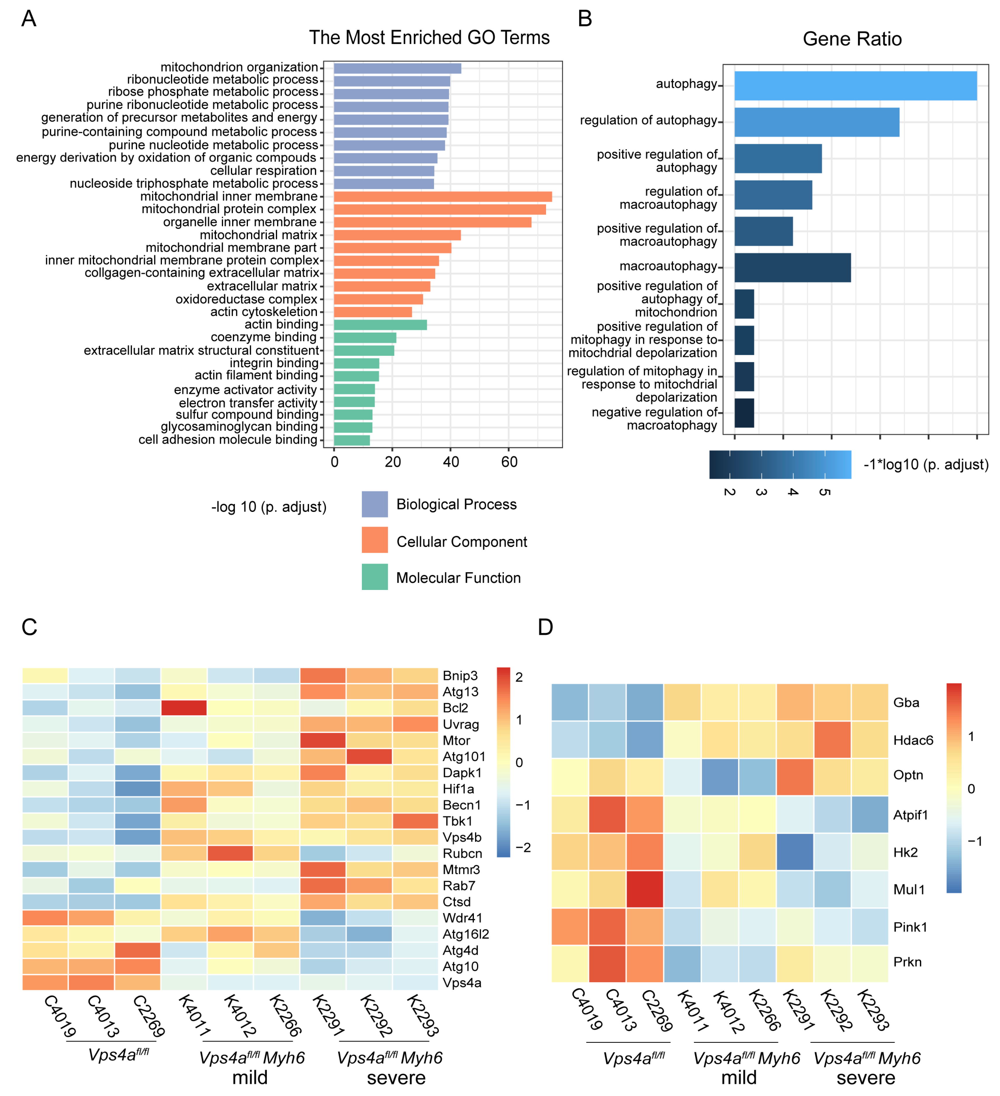 Ijms 24 10800 g003 Ijms 24 10800 g003