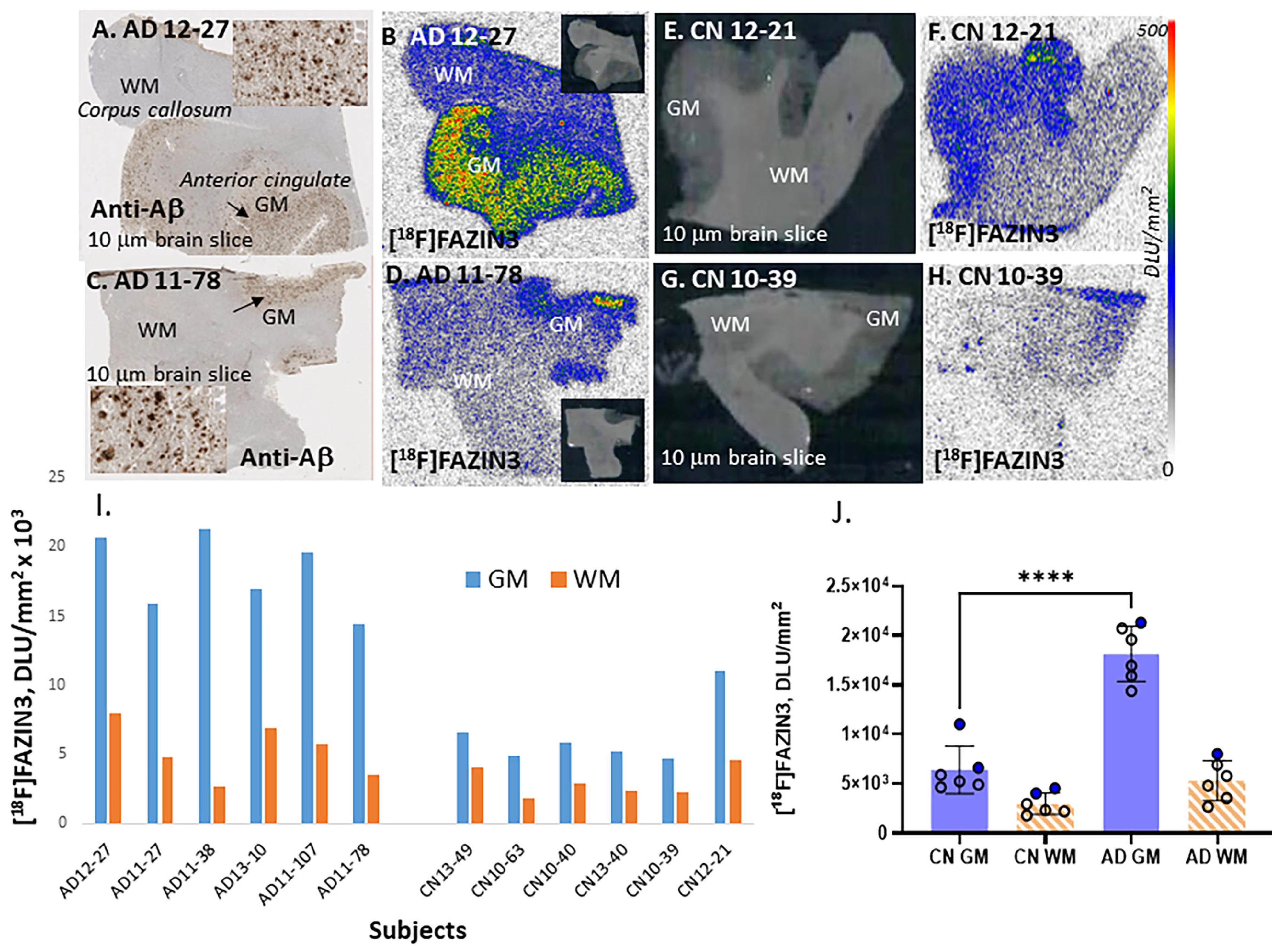Ijms 24 10808 g002 Ijms 24 10808 g002