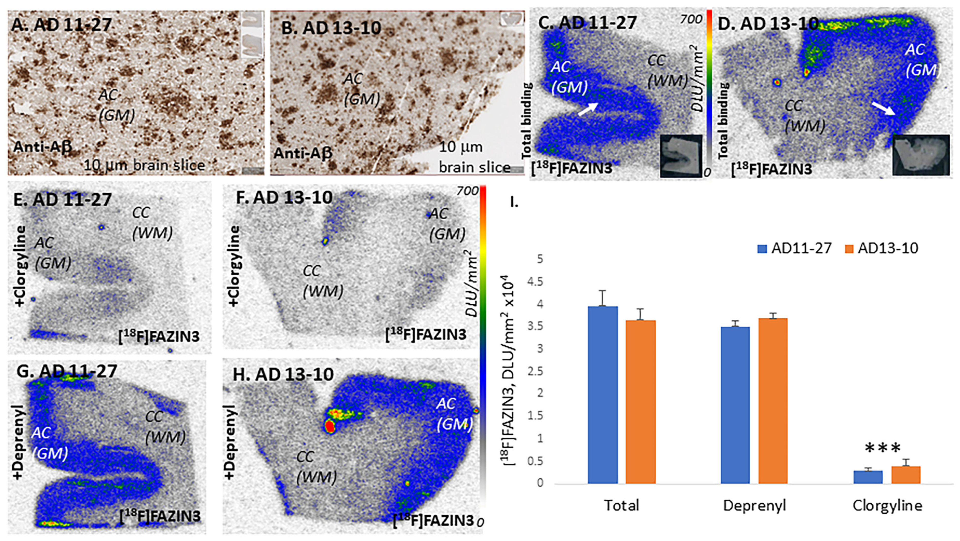Ijms 24 10808 g003 Ijms 24 10808 g003