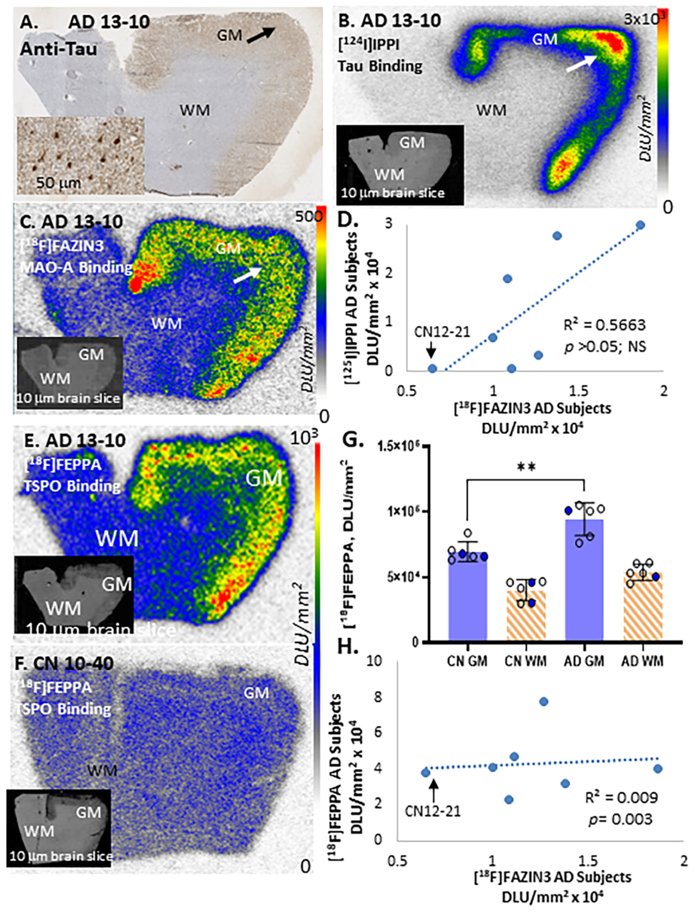 Ijms 24 10808 g005 Ijms 24 10808 g005
