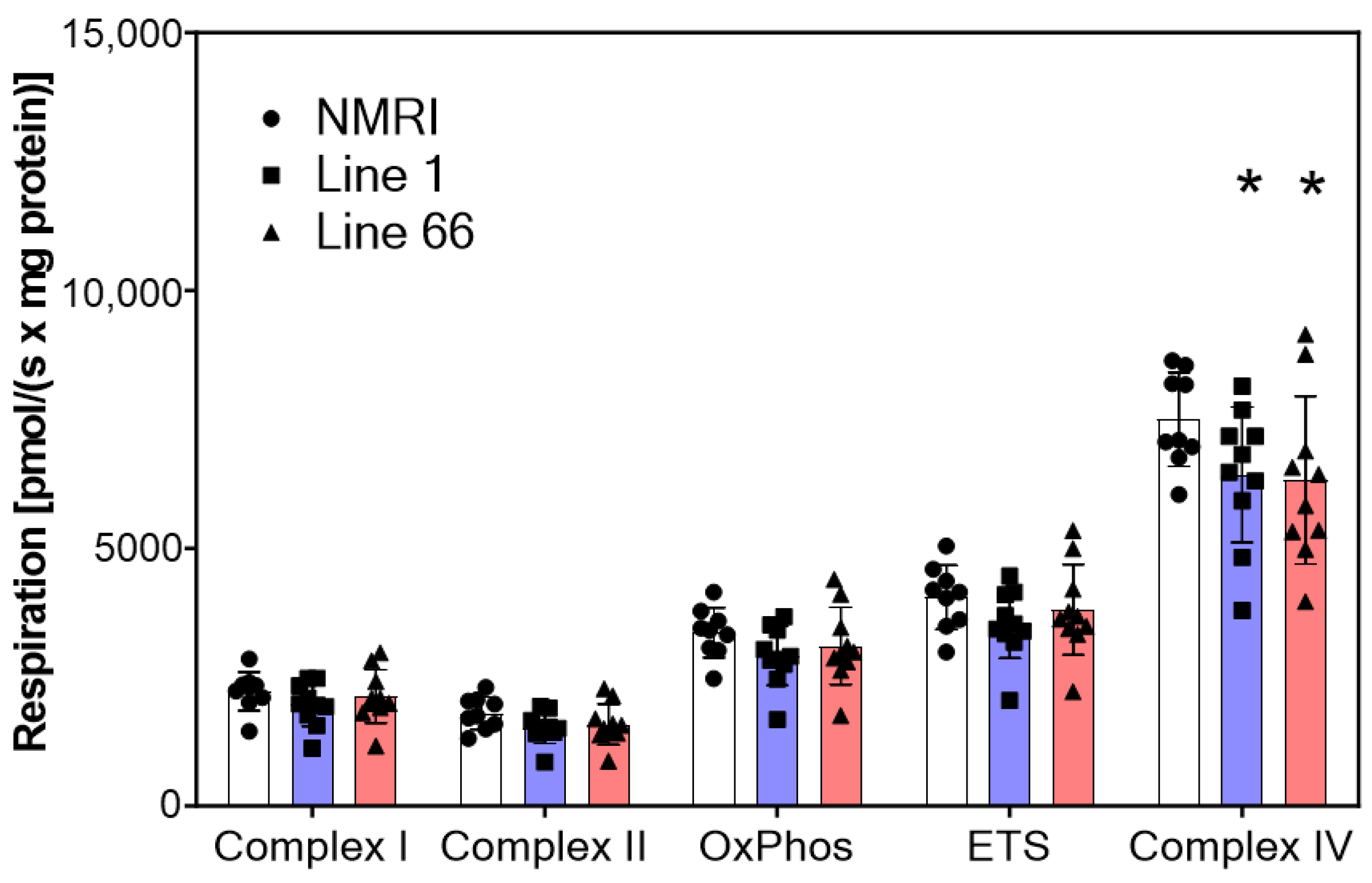 Ijms 24 10810 g004 Ijms 24 10810 g004