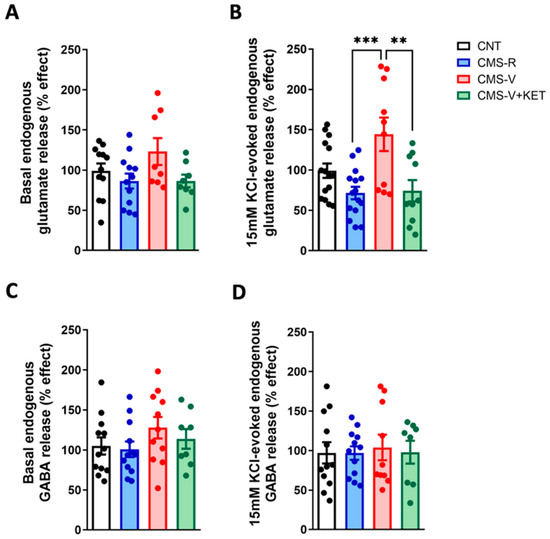 Functional and Molecular Changes in the Prefrontal Cortex of the 