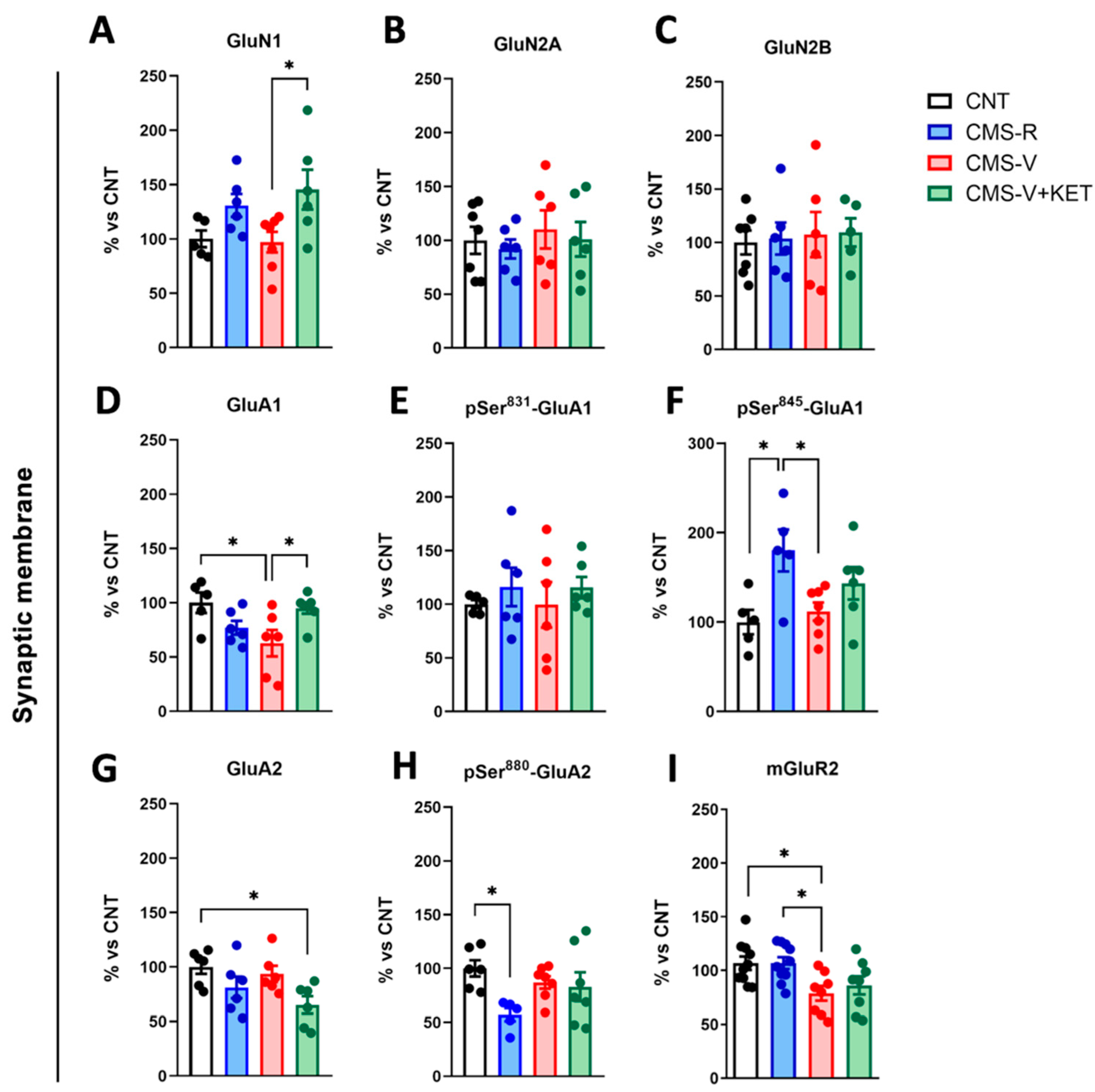 Ijms 24 10814 g004 Ijms 24 10814 g004