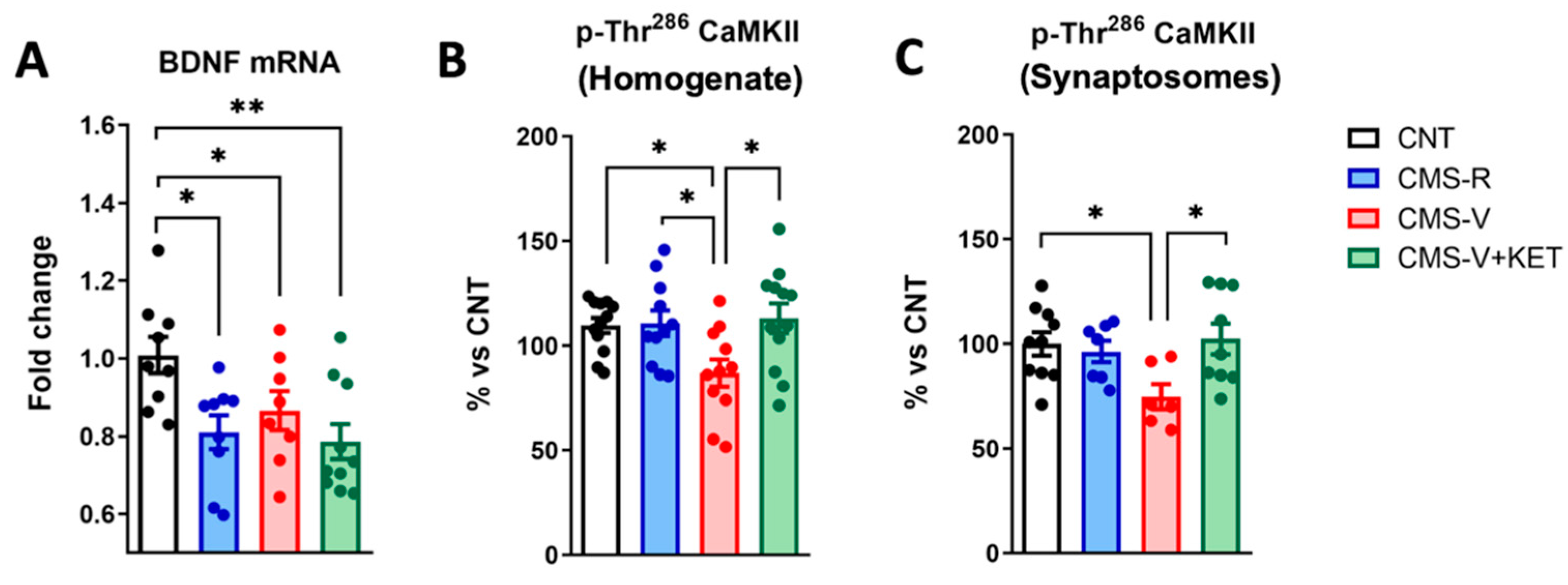 Ijms 24 10814 g006 Ijms 24 10814 g006