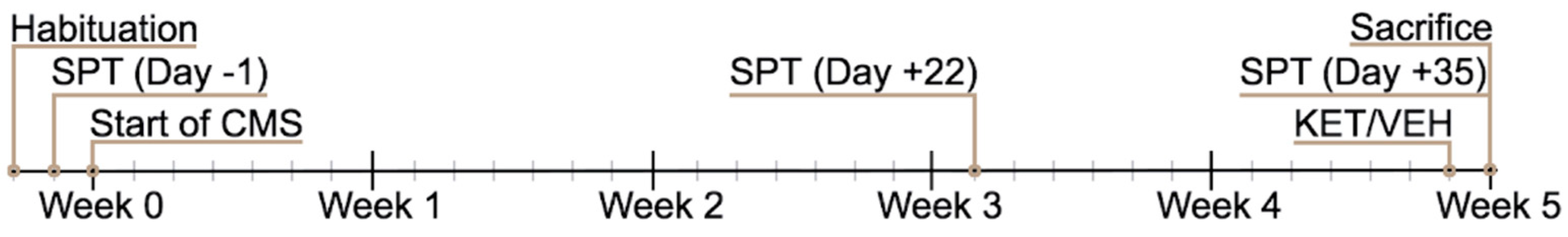 Ijms 24 10814 g007 Ijms 24 10814 g007