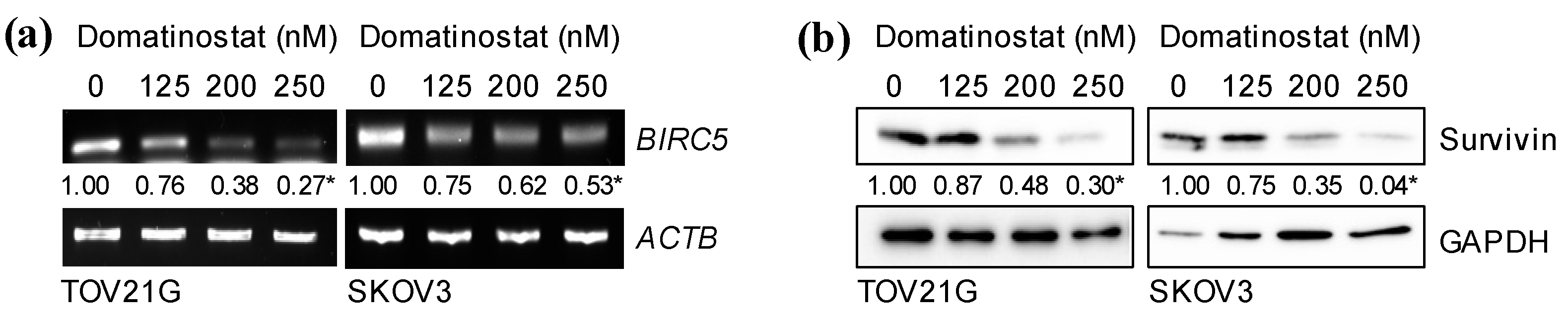 Ijms 24 10817 g003 Ijms 24 10817 g003