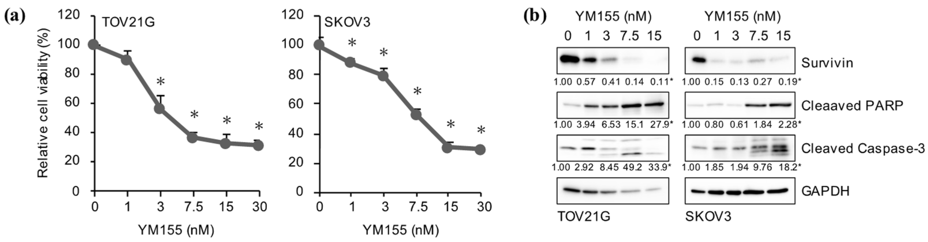 Ijms 24 10817 g004 Ijms 24 10817 g004