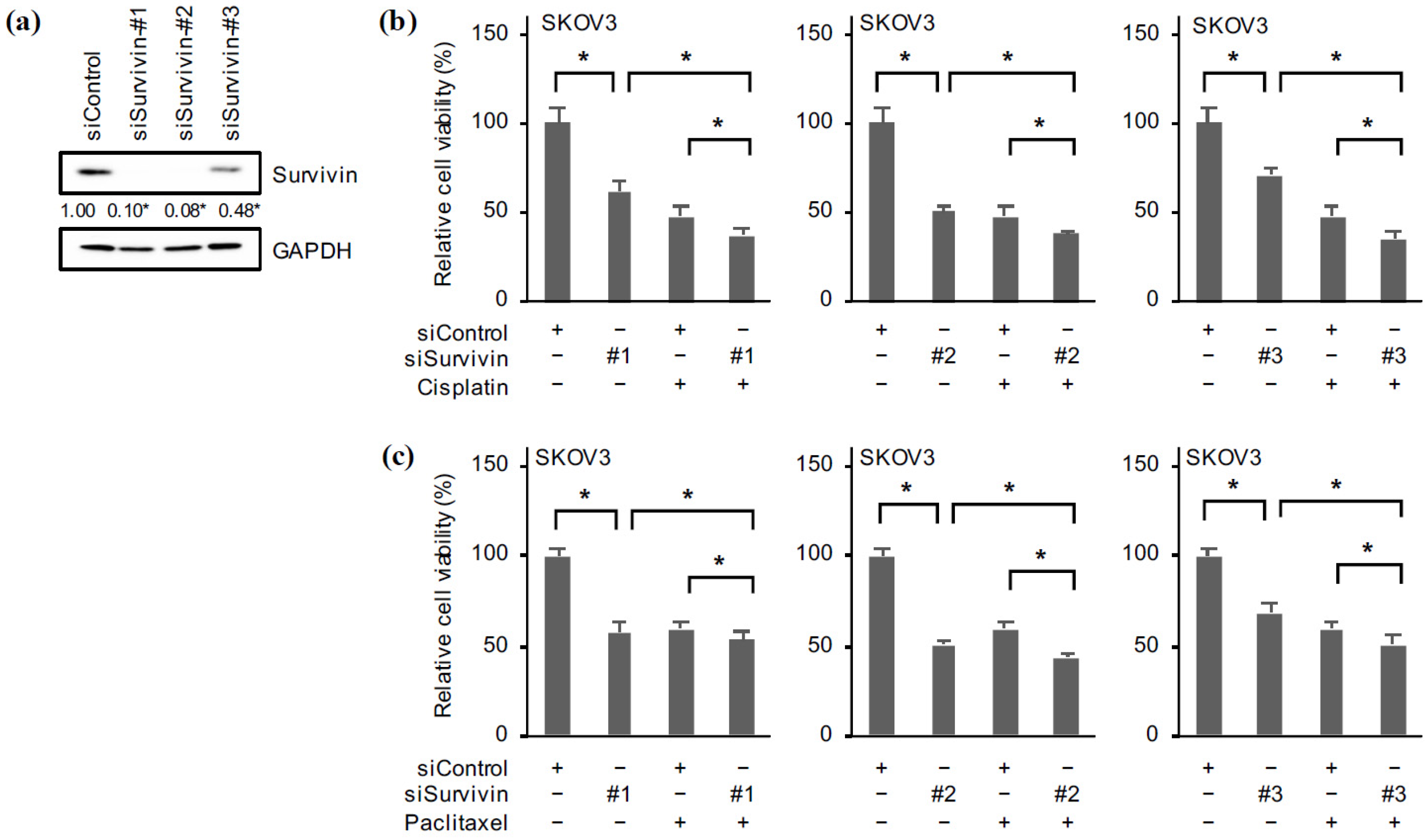 Ijms 24 10817 g008 Ijms 24 10817 g008