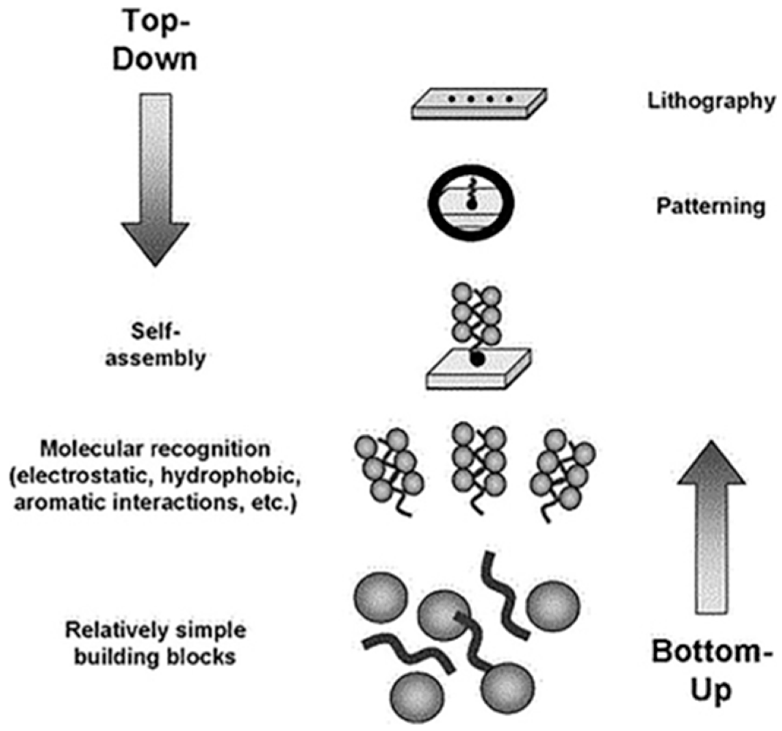 Ijms 24 10819 g003 Ijms 24 10819 g003