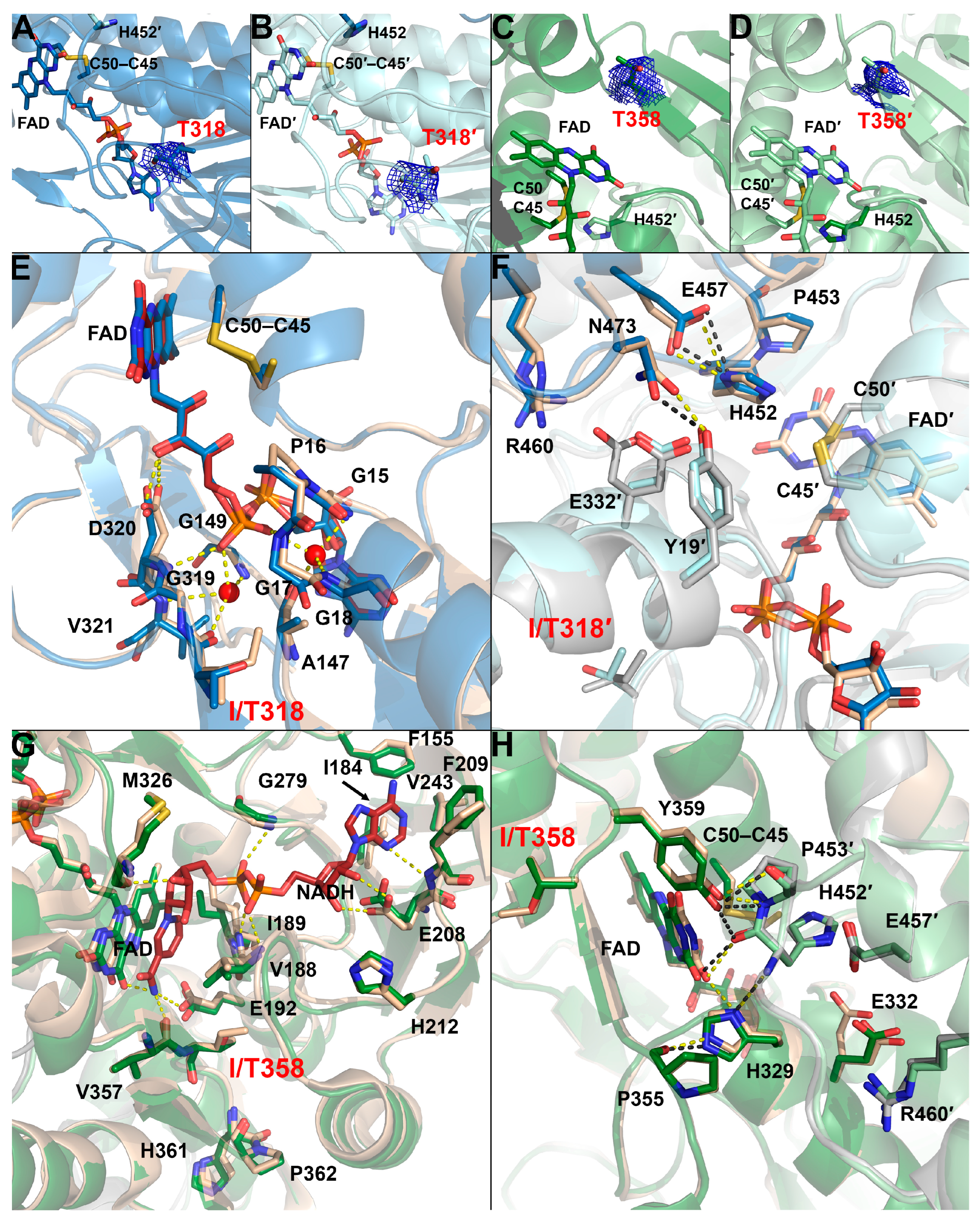 Ijms 24 10826 g006 Ijms 24 10826 g006