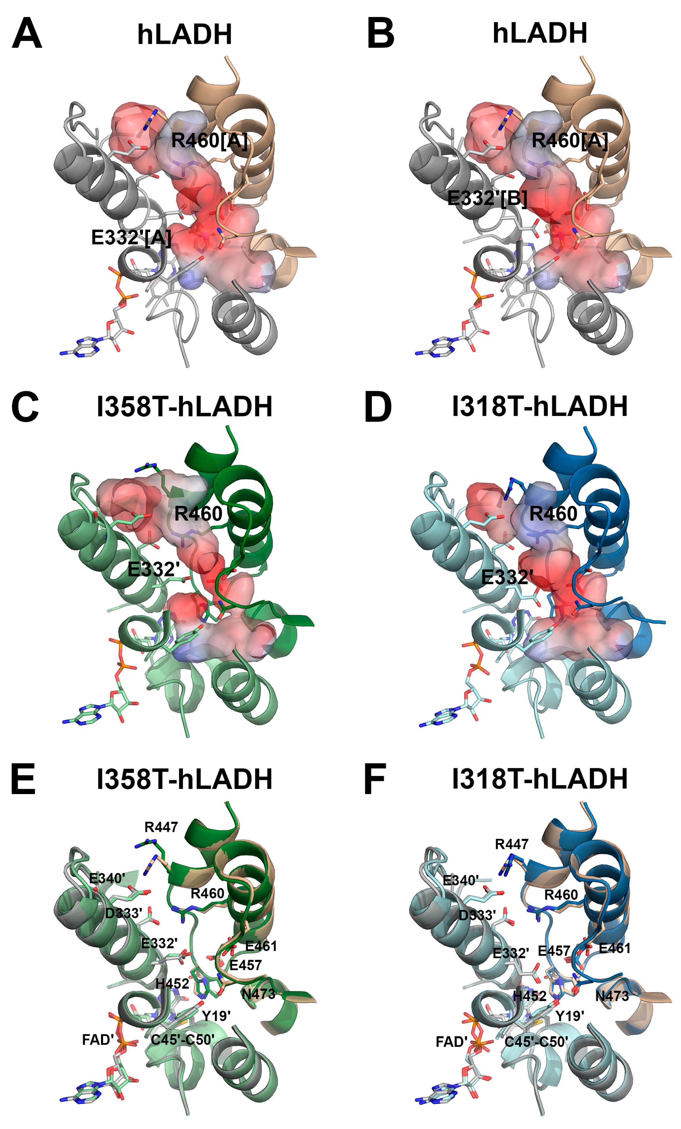 Ijms 24 10826 g007 Ijms 24 10826 g007