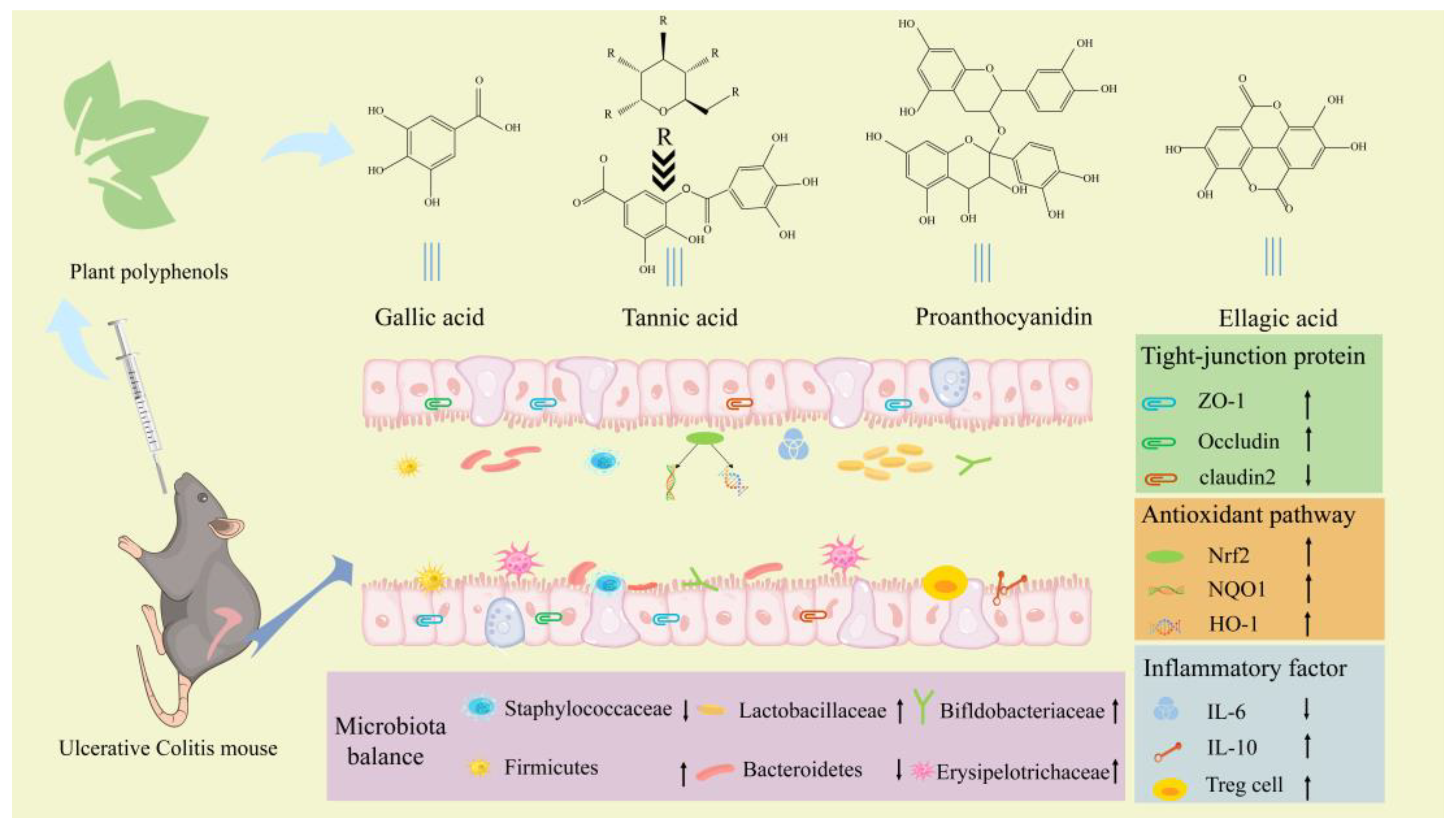 Ijms 24 10828 g001 Ijms 24 10828 g001