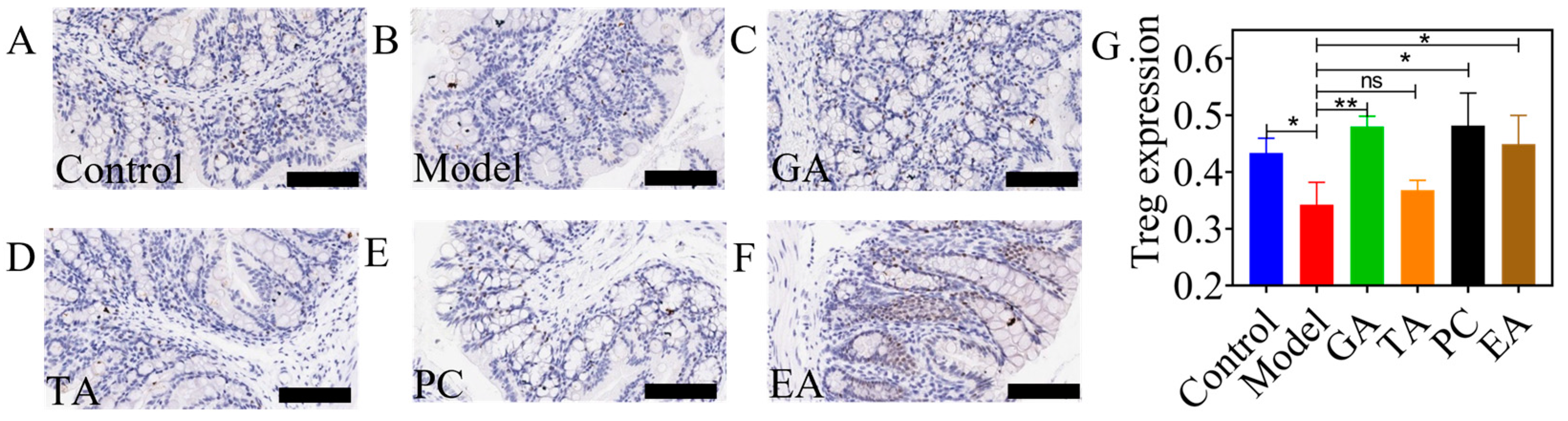 Ijms 24 10828 g005 Ijms 24 10828 g005