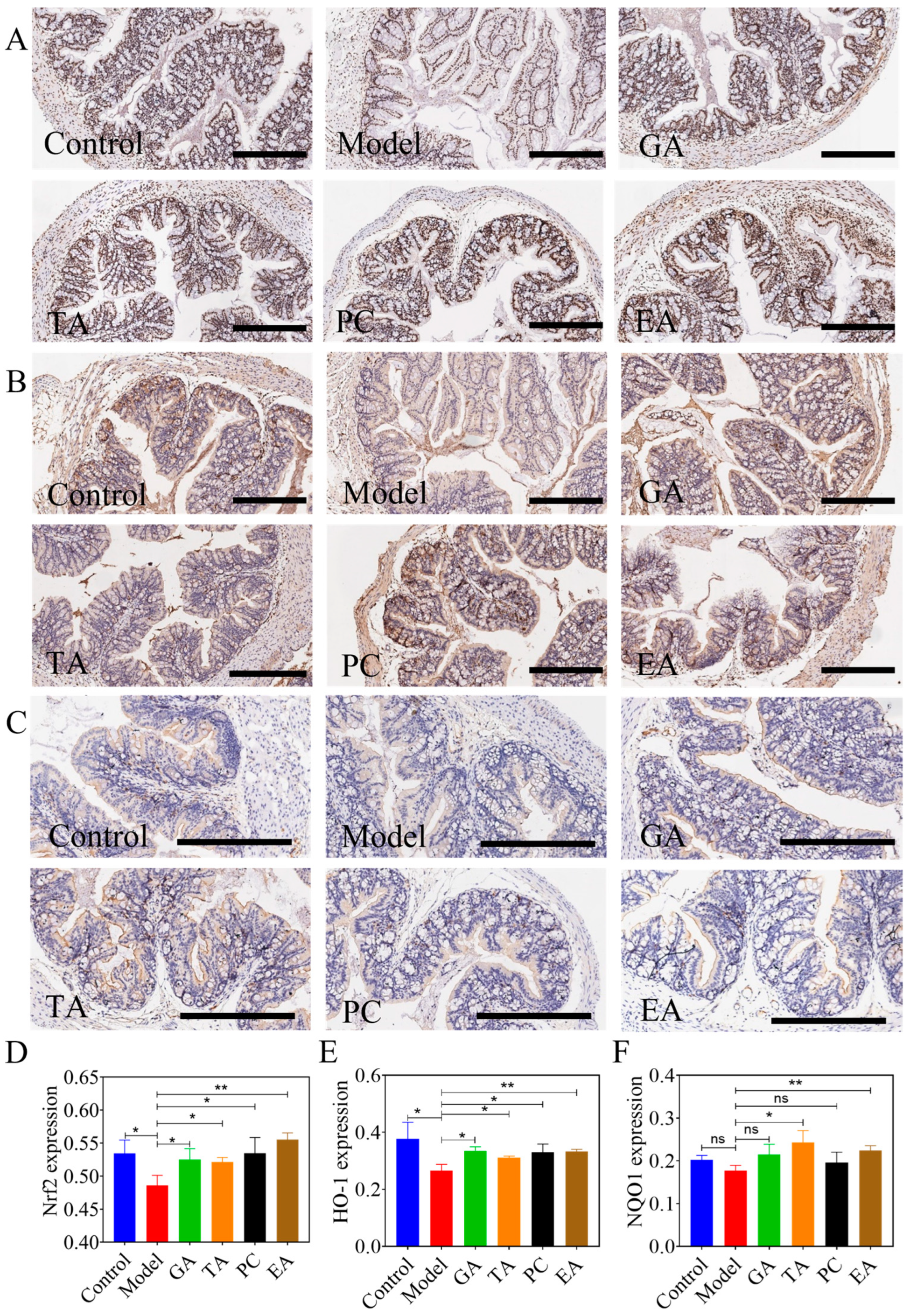 Ijms 24 10828 g007 Ijms 24 10828 g007