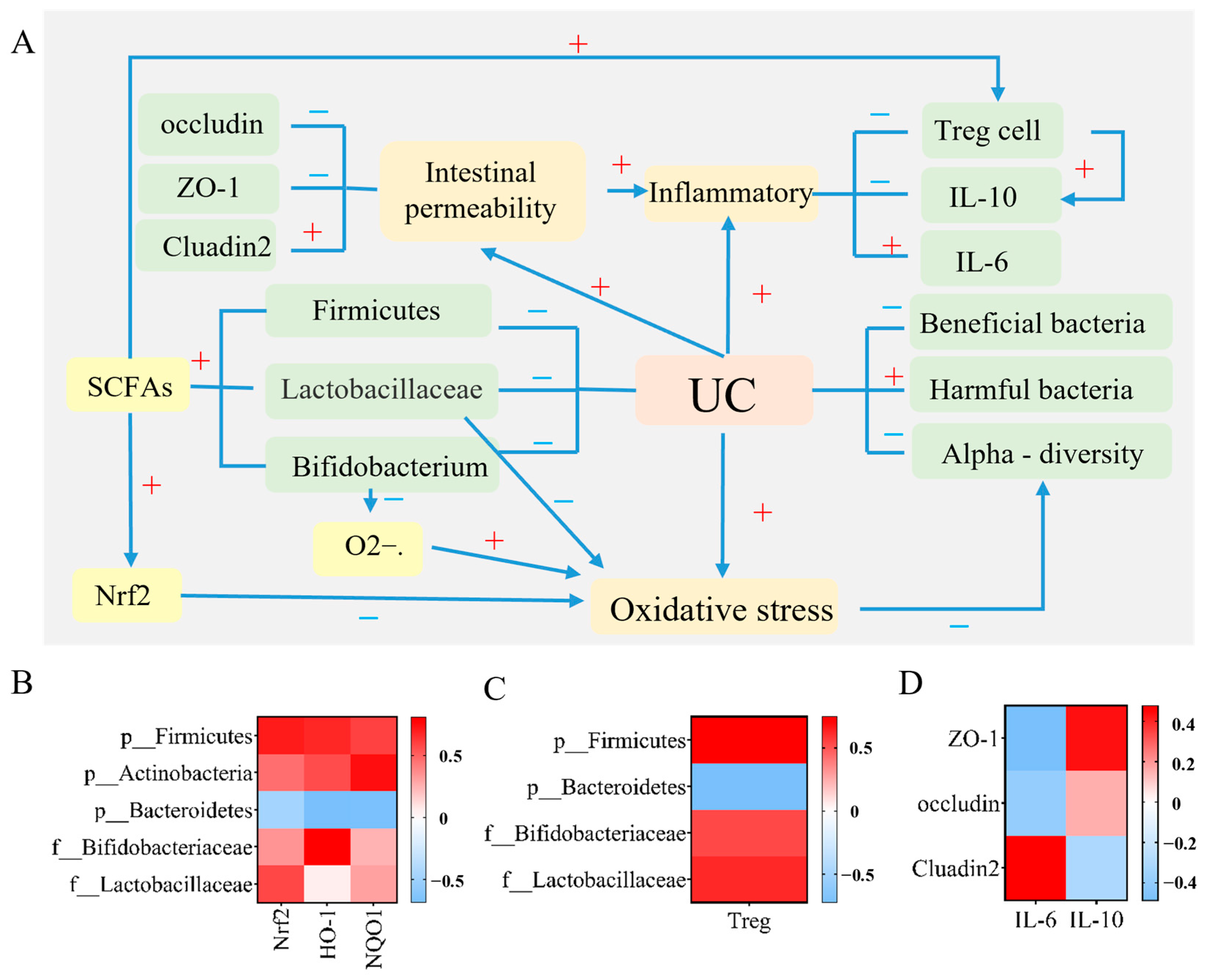 Ijms 24 10828 g012 Ijms 24 10828 g012