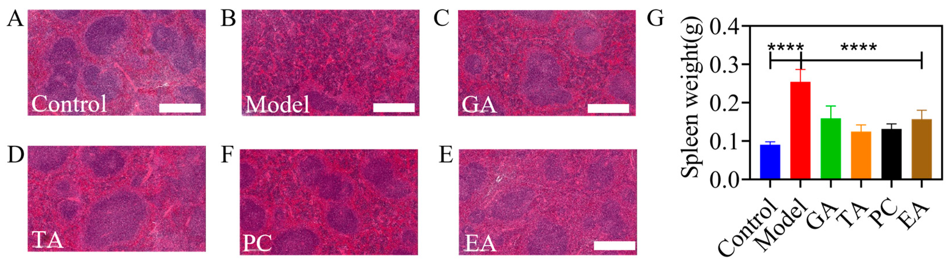Ijms 24 10828 g013 Ijms 24 10828 g013