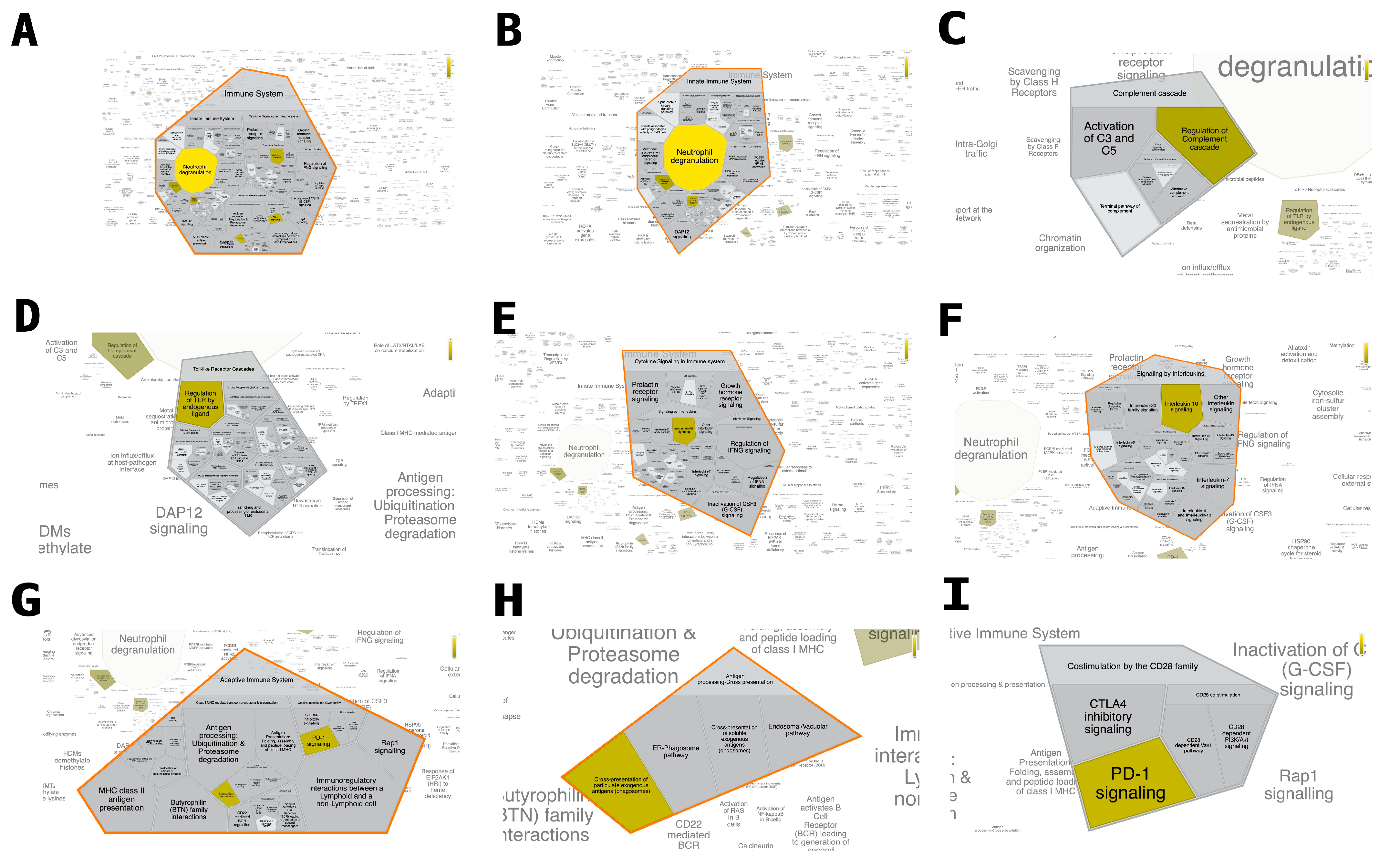 Ijms 24 10829 g001 Ijms 24 10829 g001