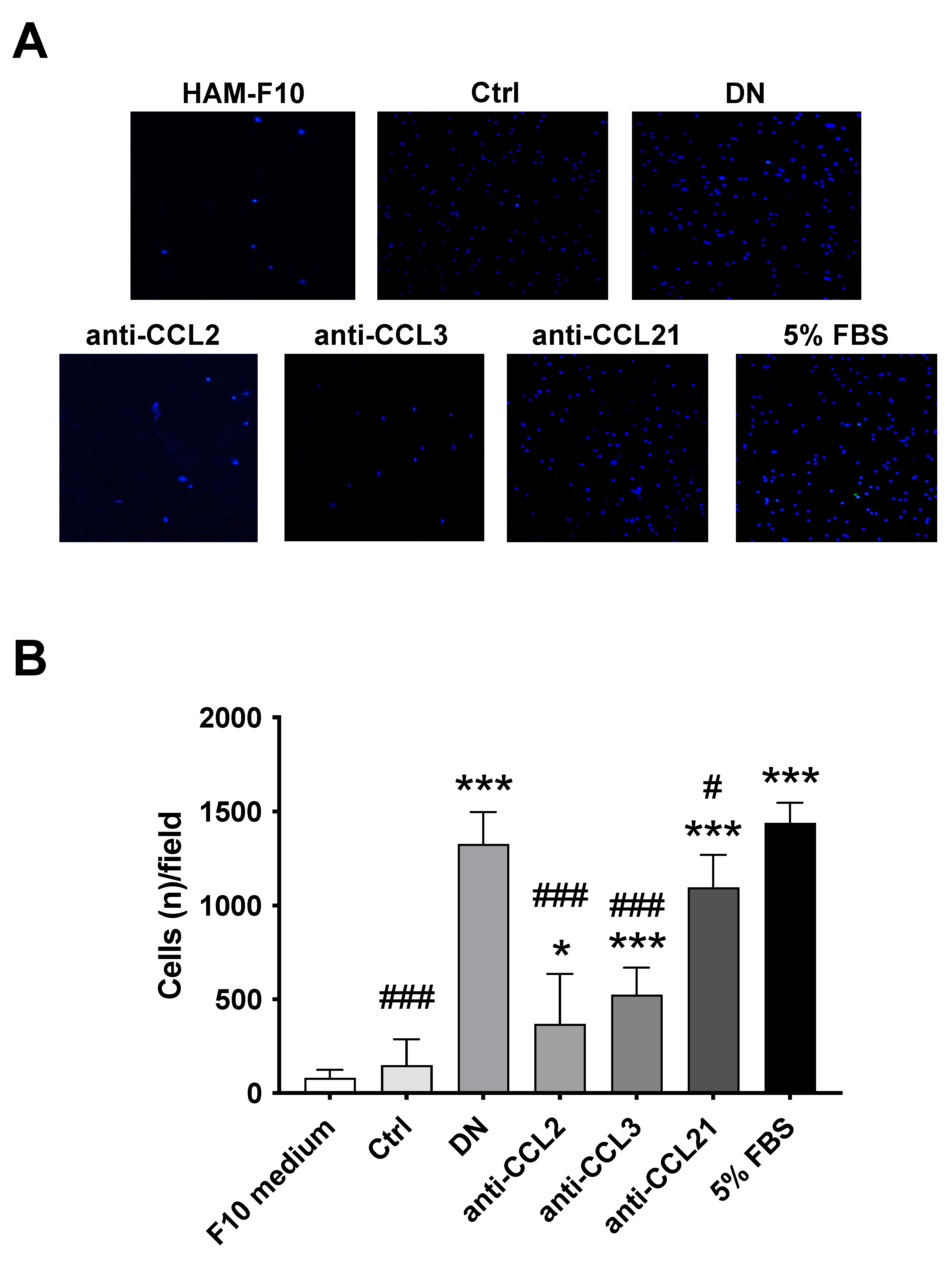 Ijms 24 10829 g005 Ijms 24 10829 g005