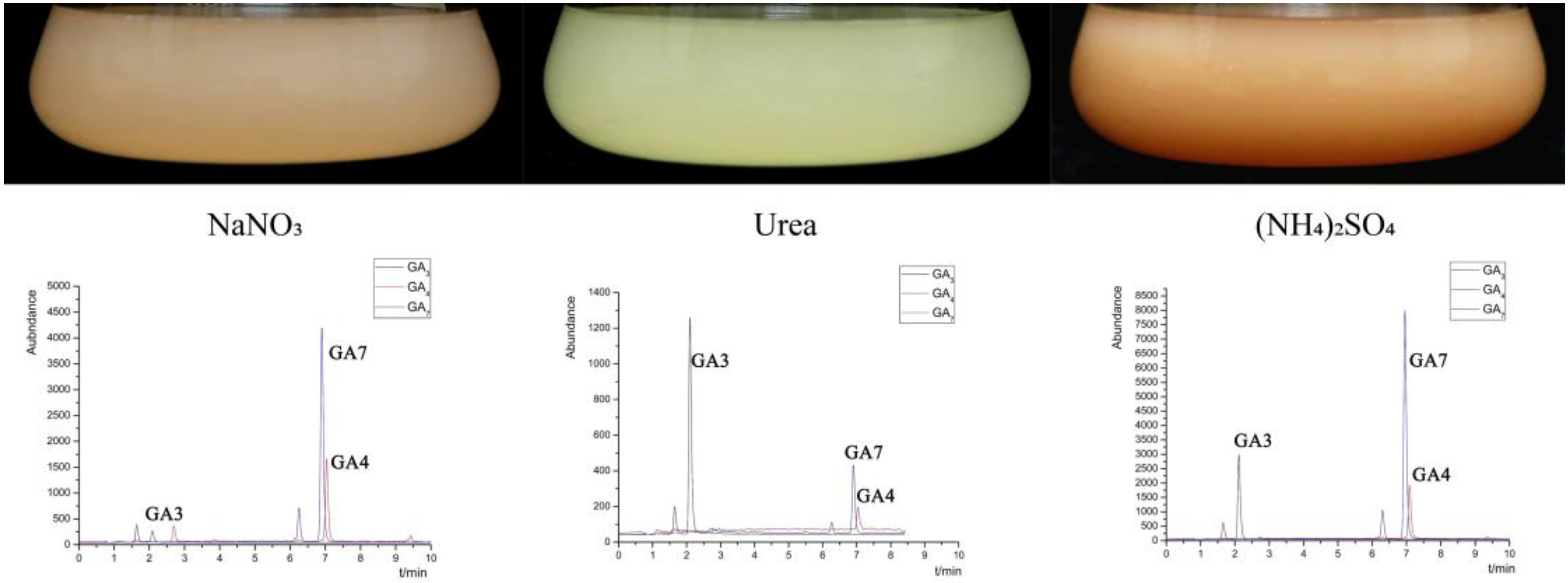 Ijms 24 10832 g001 Ijms 24 10832 g001