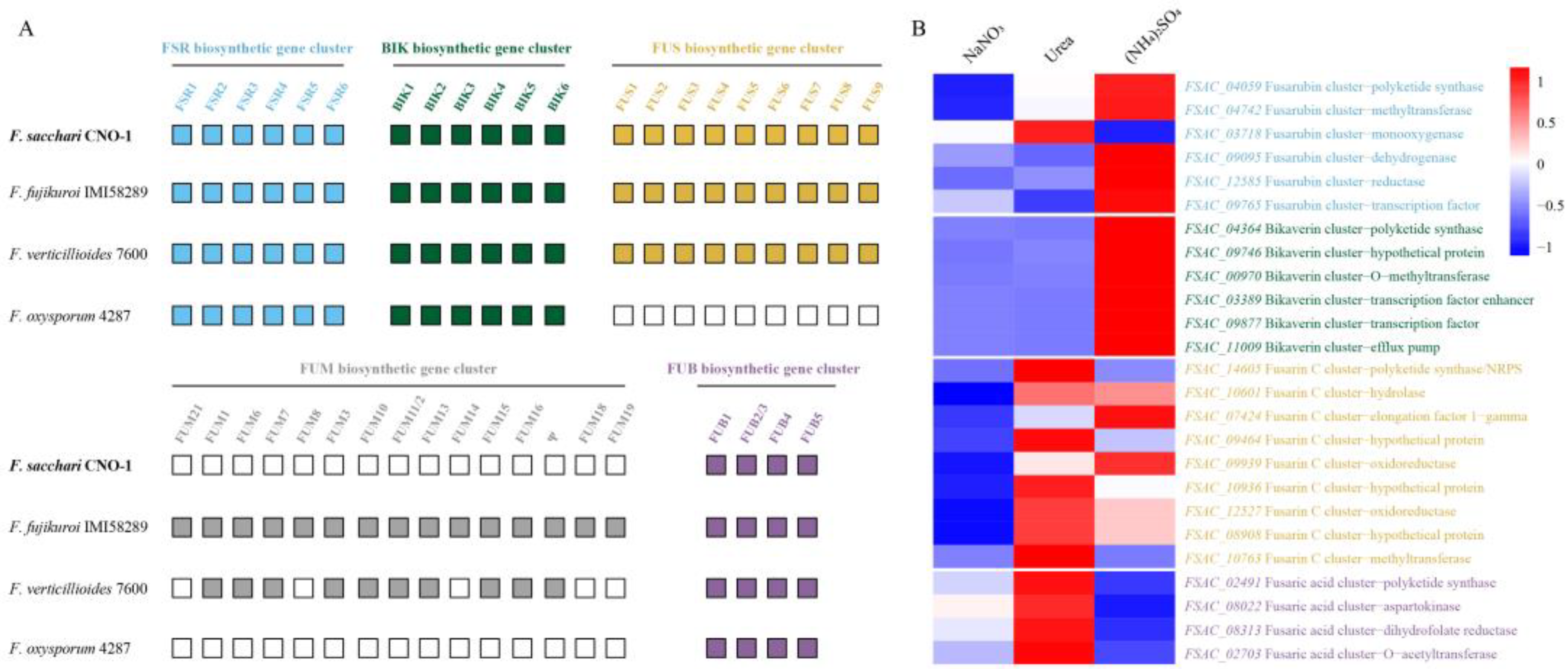 Ijms 24 10832 g003 Ijms 24 10832 g003