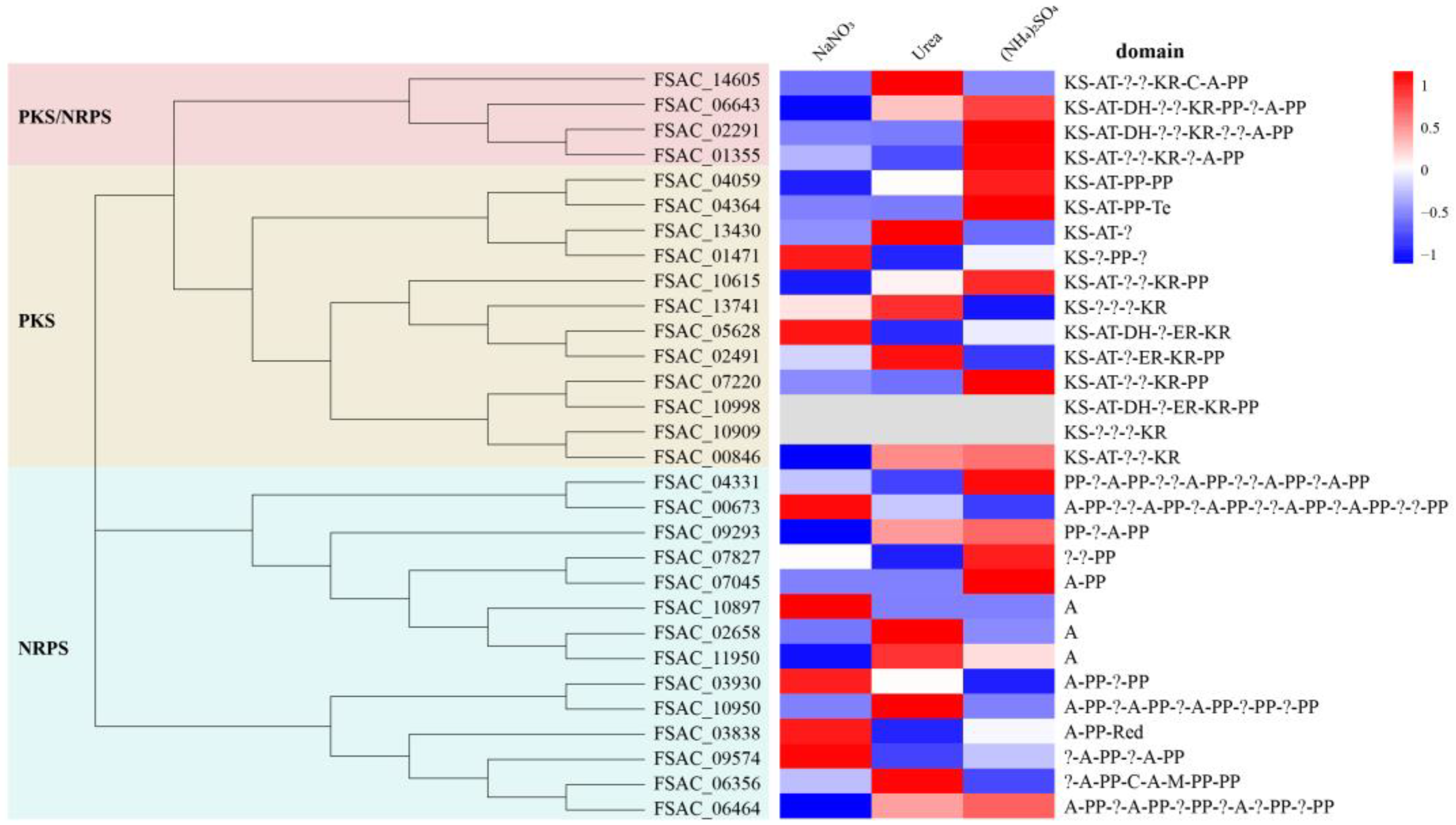 Ijms 24 10832 g004 Ijms 24 10832 g004