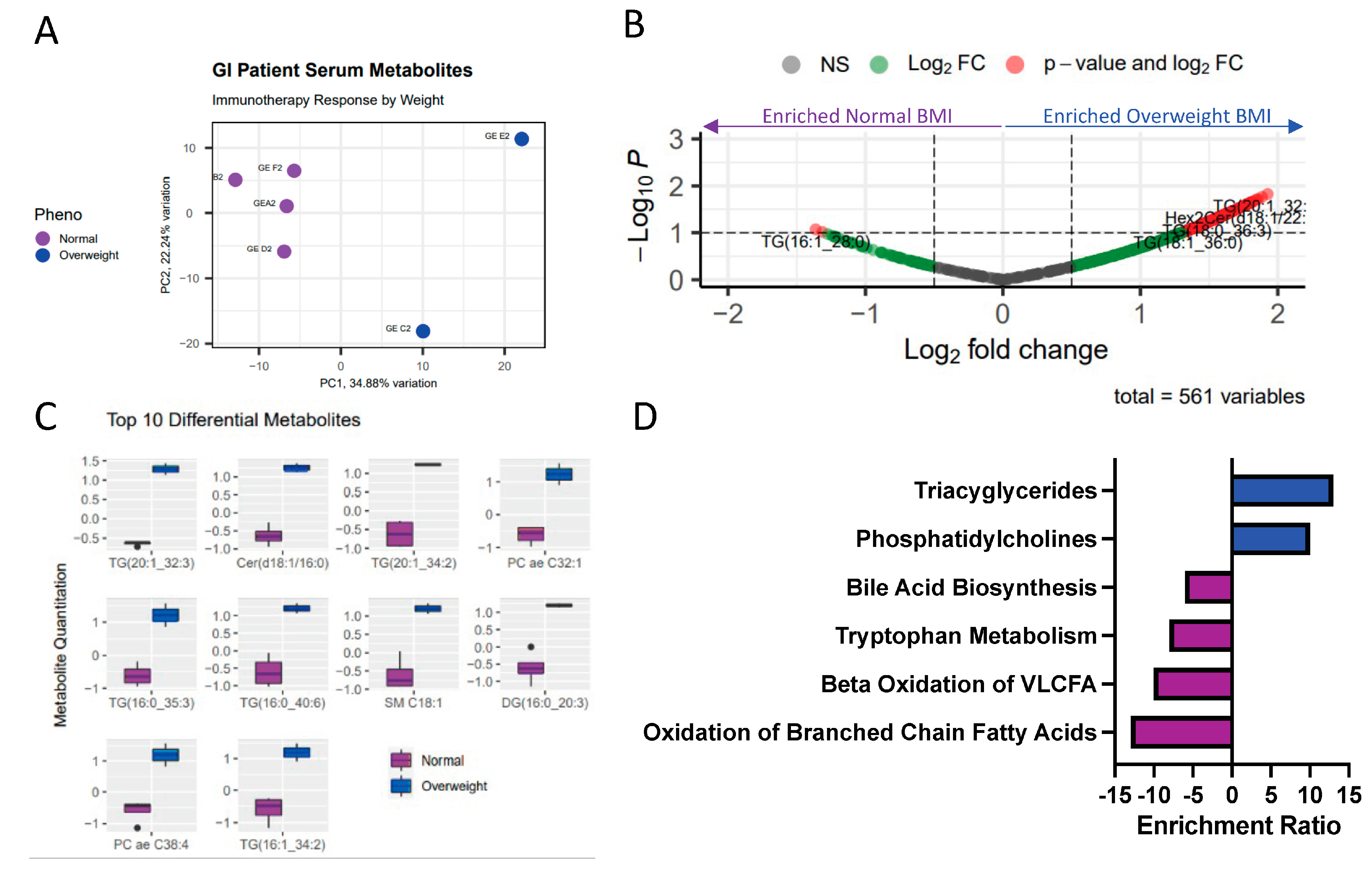 Ijms 24 10847 g002 Ijms 24 10847 g002