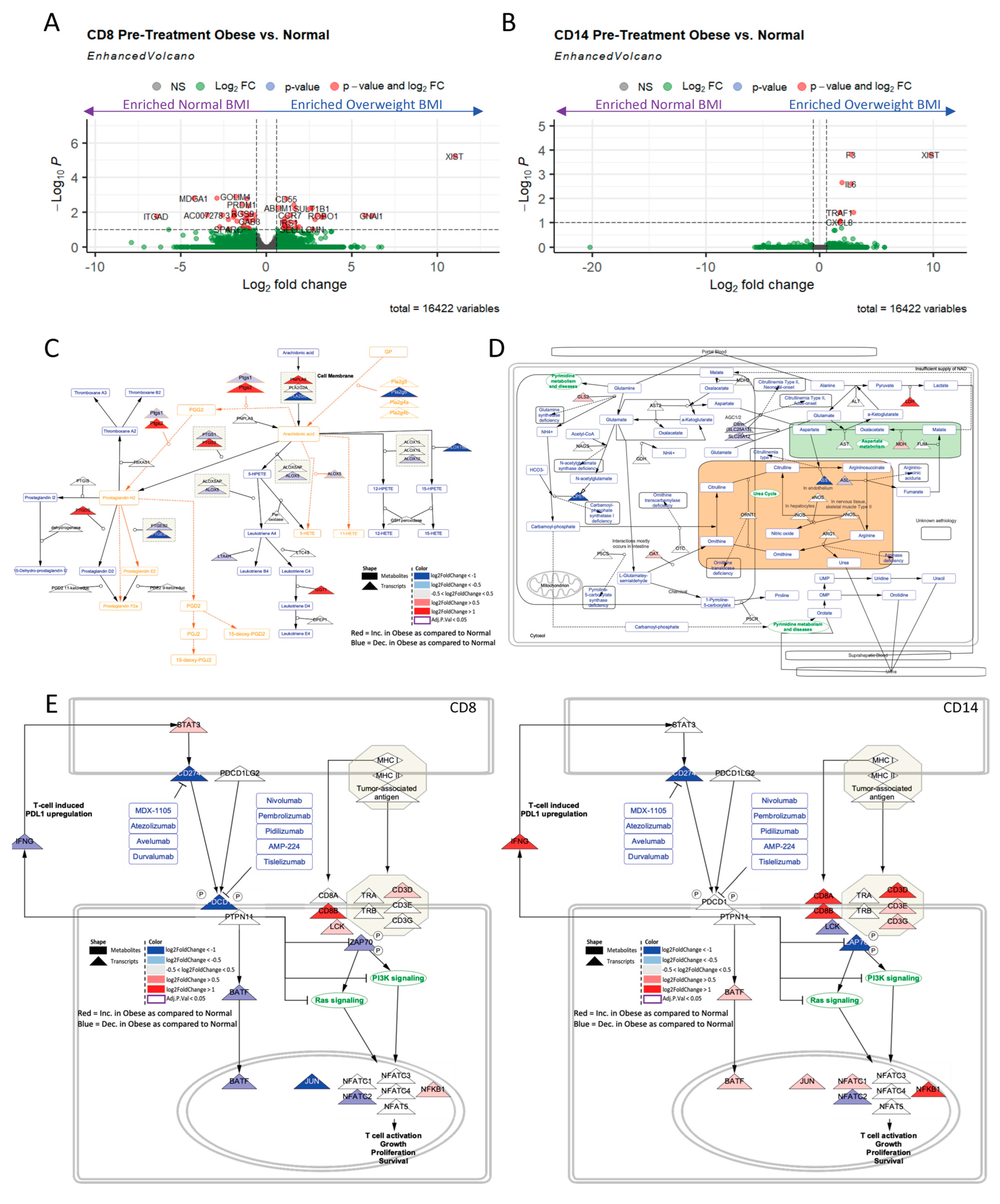Ijms 24 10847 g003 Ijms 24 10847 g003