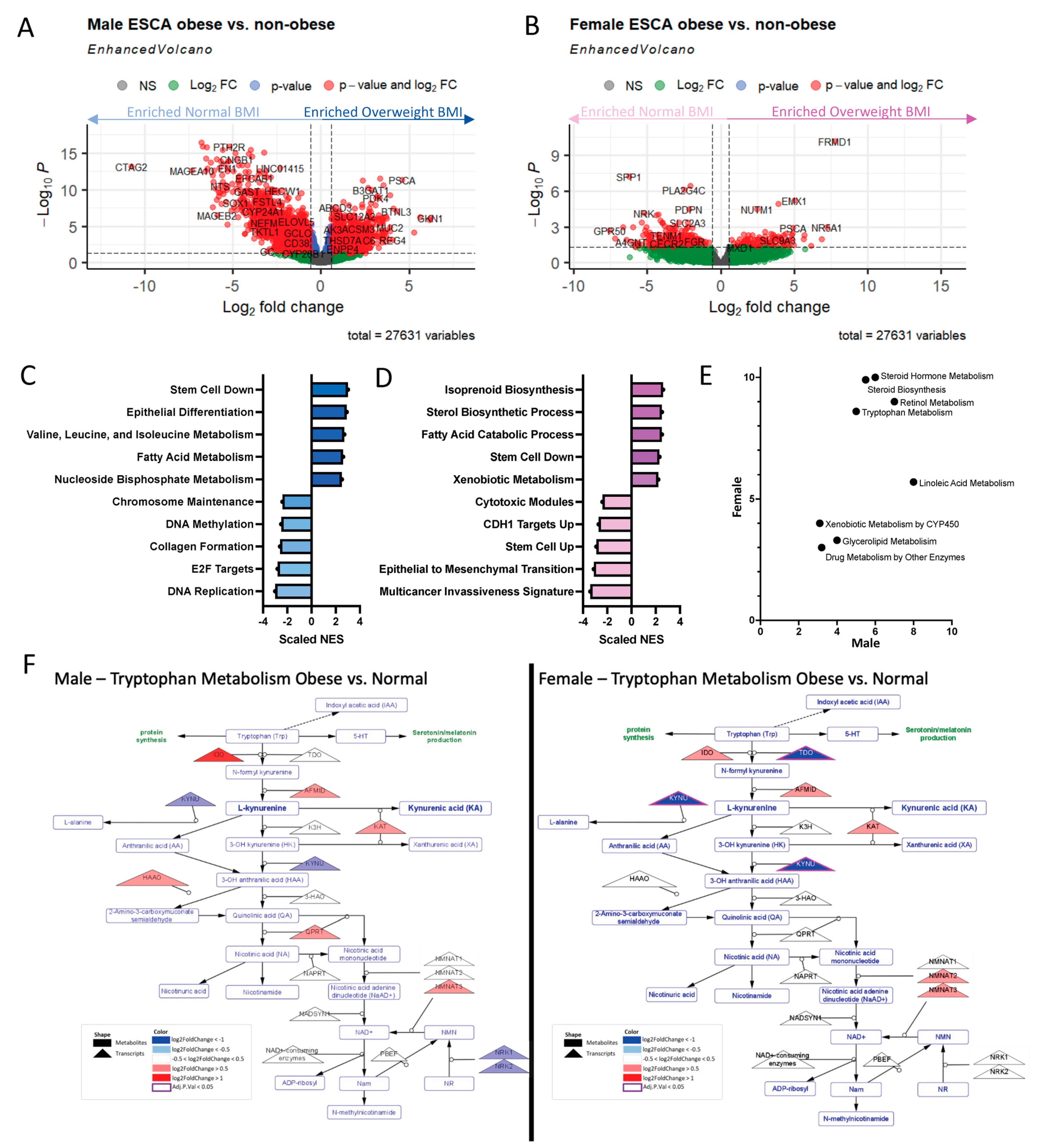 Ijms 24 10847 g004 Ijms 24 10847 g004