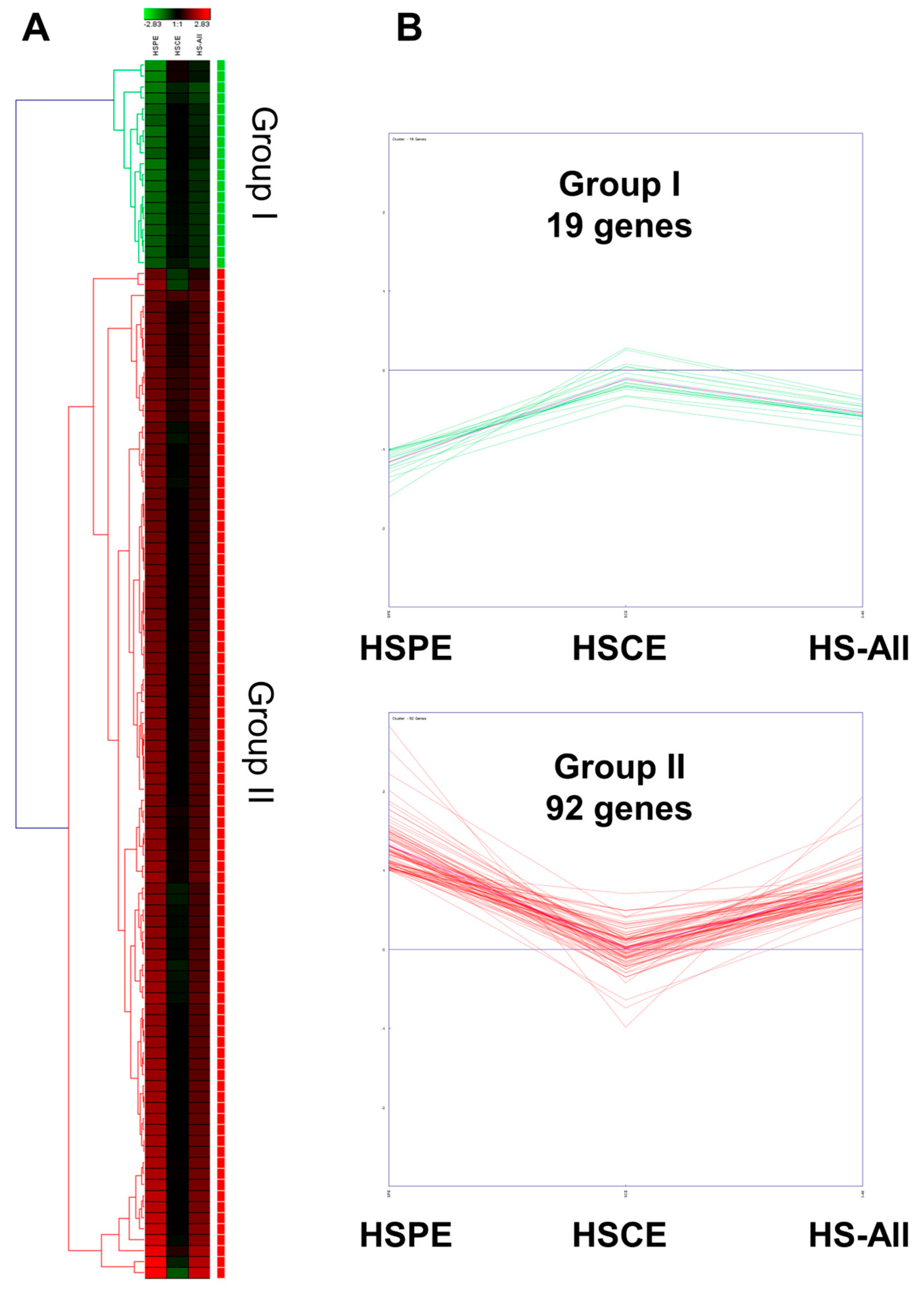Ijms 24 10853 g007 Ijms 24 10853 g007