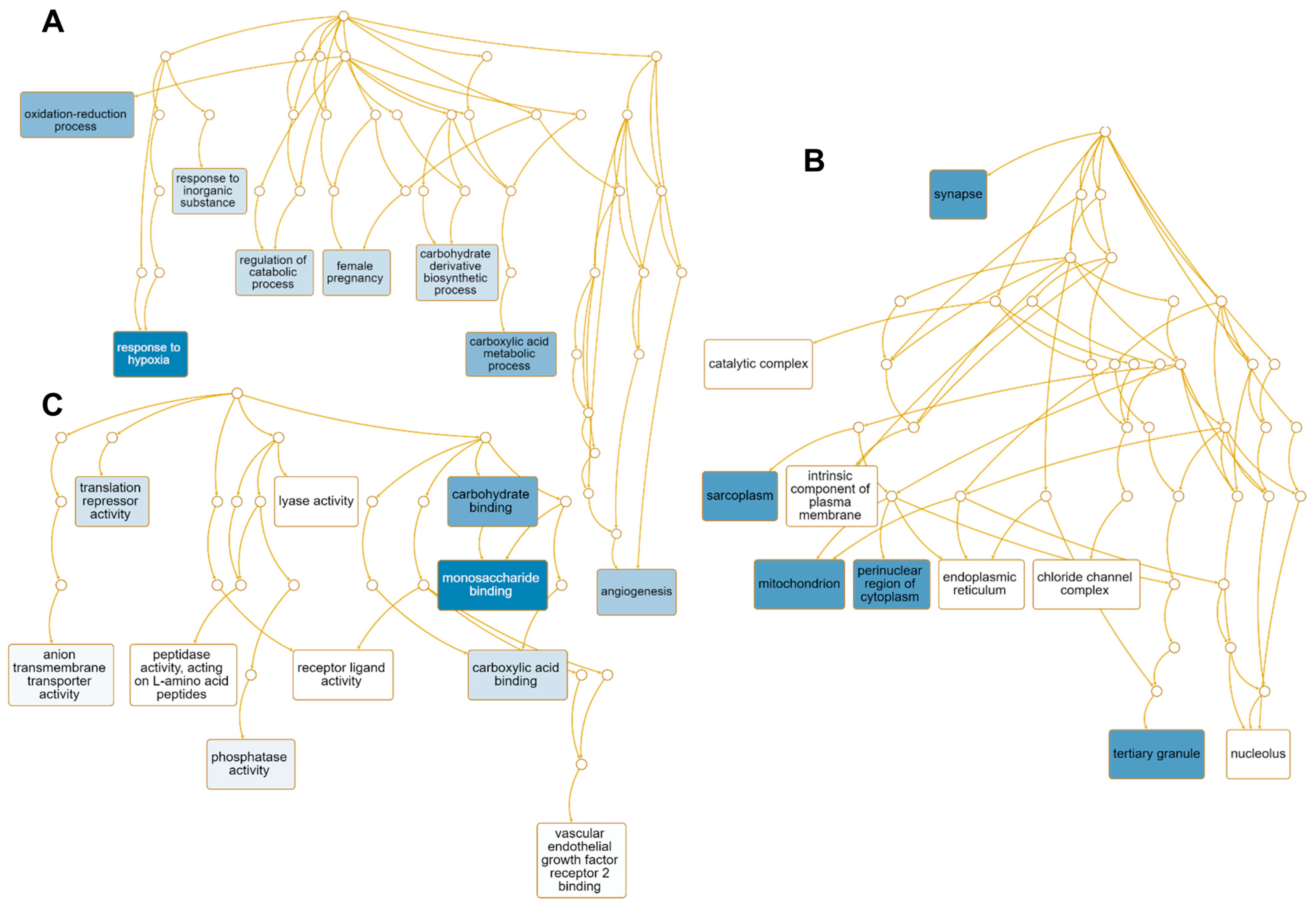 Ijms 24 10853 g008 Ijms 24 10853 g008