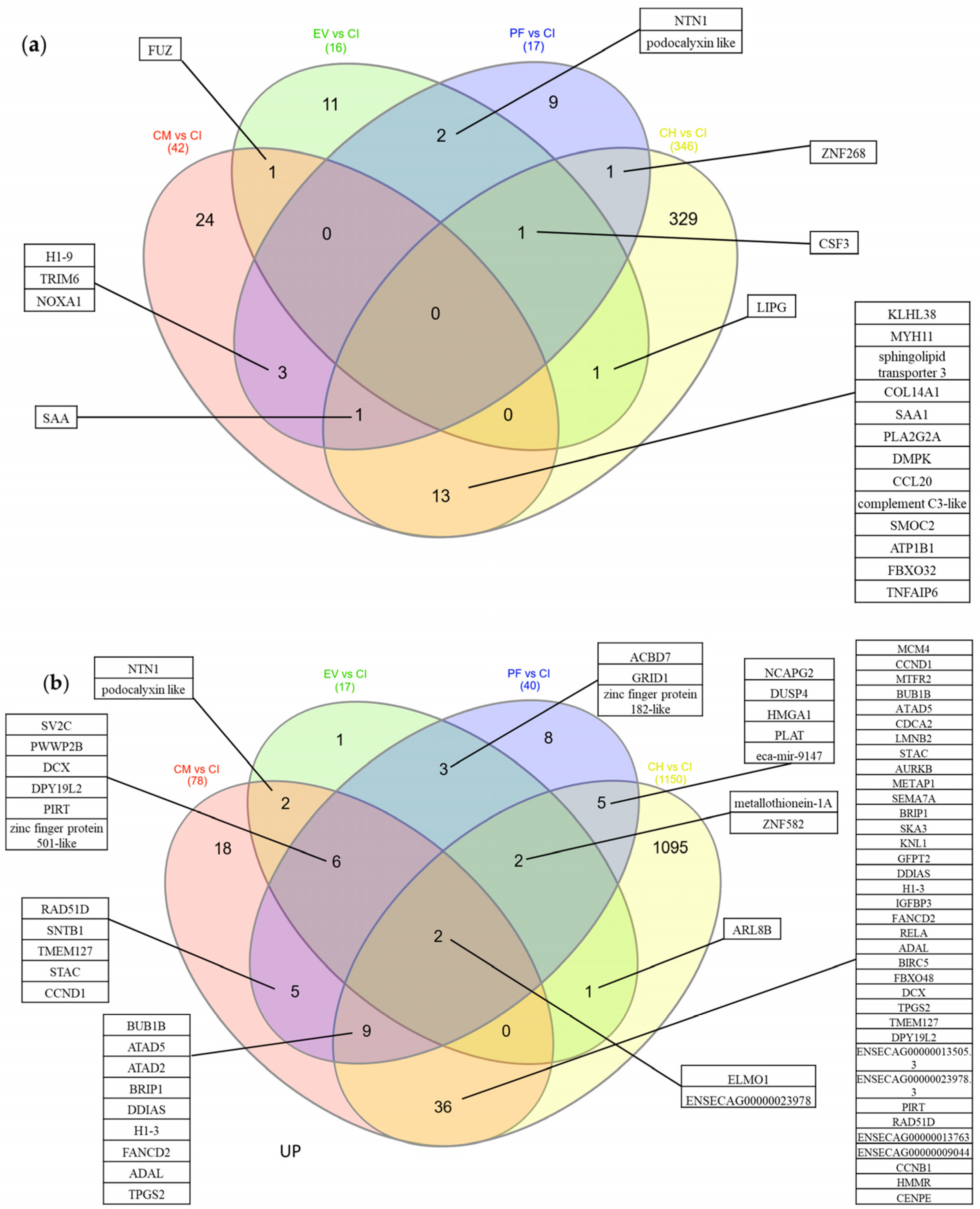 Ijms 24 10857 g005 Ijms 24 10857 g005