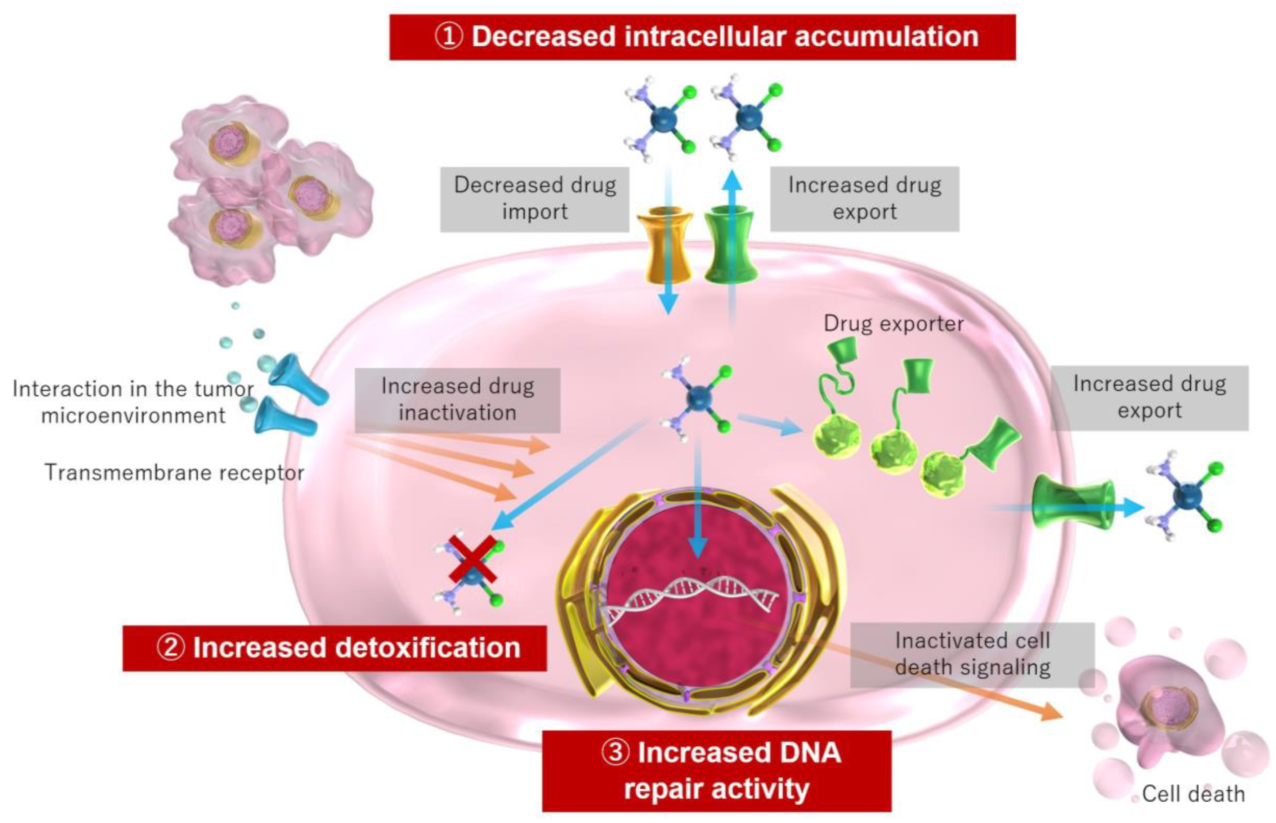 Ijms 24 10858 g002 Ijms 24 10858 g002