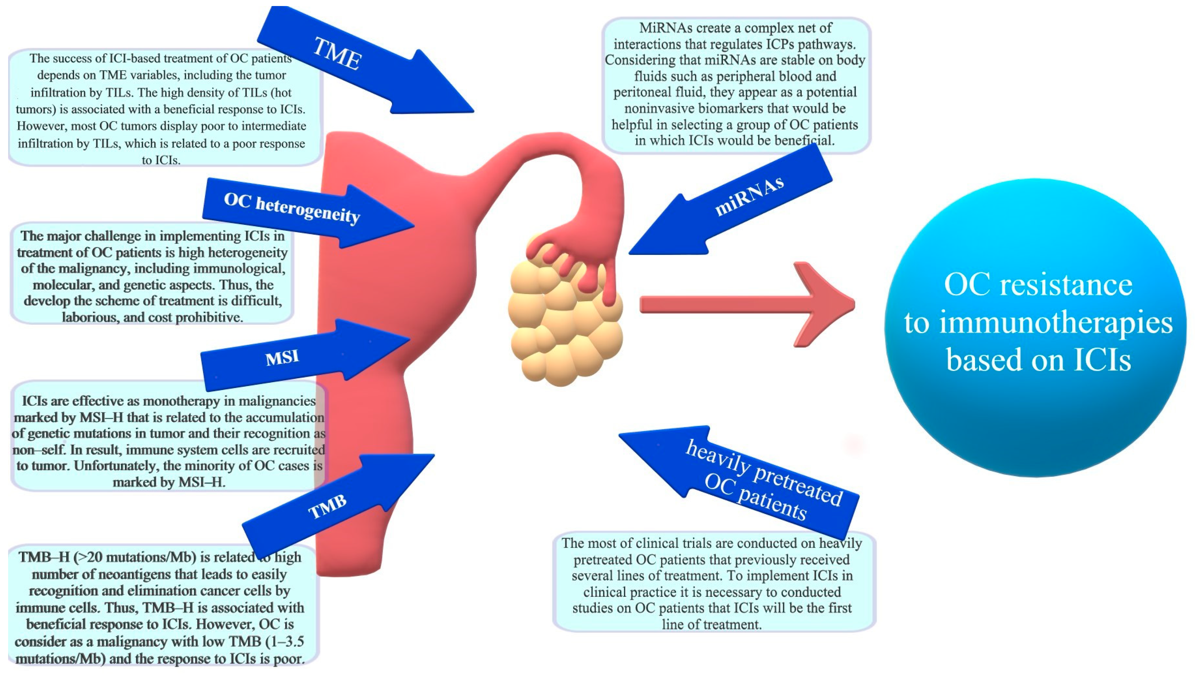 Ijms 24 10859 g003 Ijms 24 10859 g003