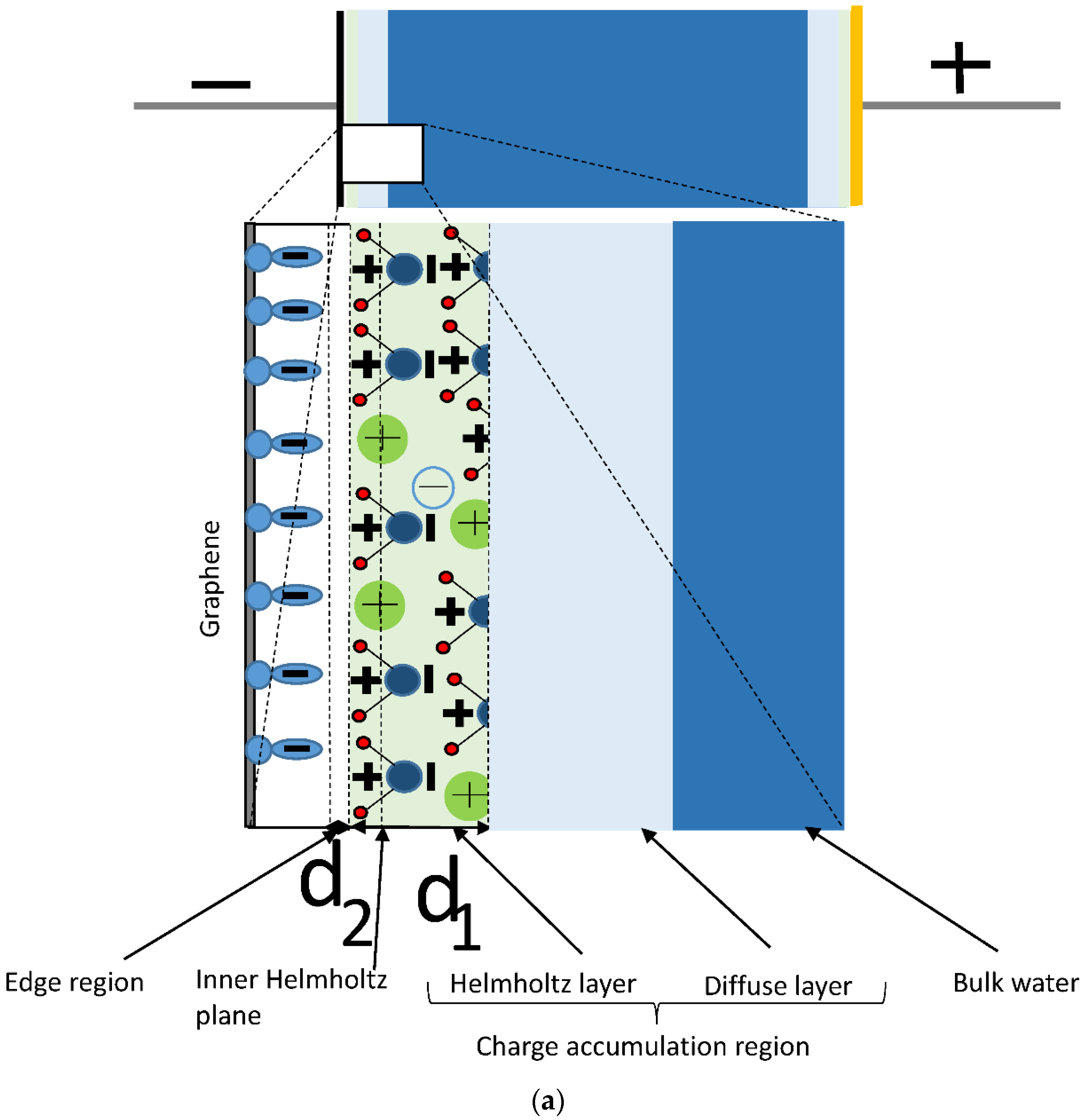 Ijms 24 10861 g001a Ijms 24 10861 g001a