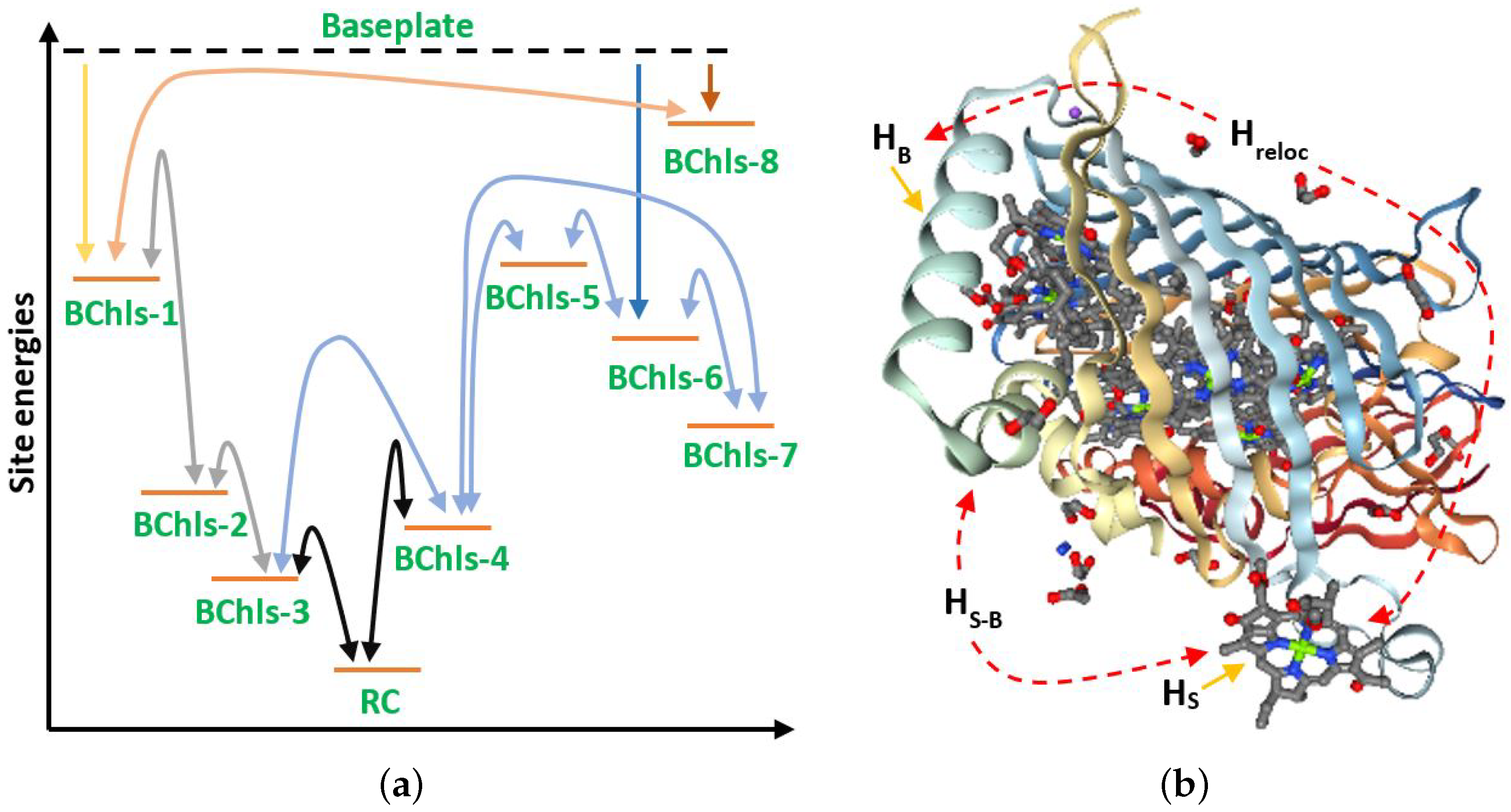 Ijms 24 10862 g002 Ijms 24 10862 g002