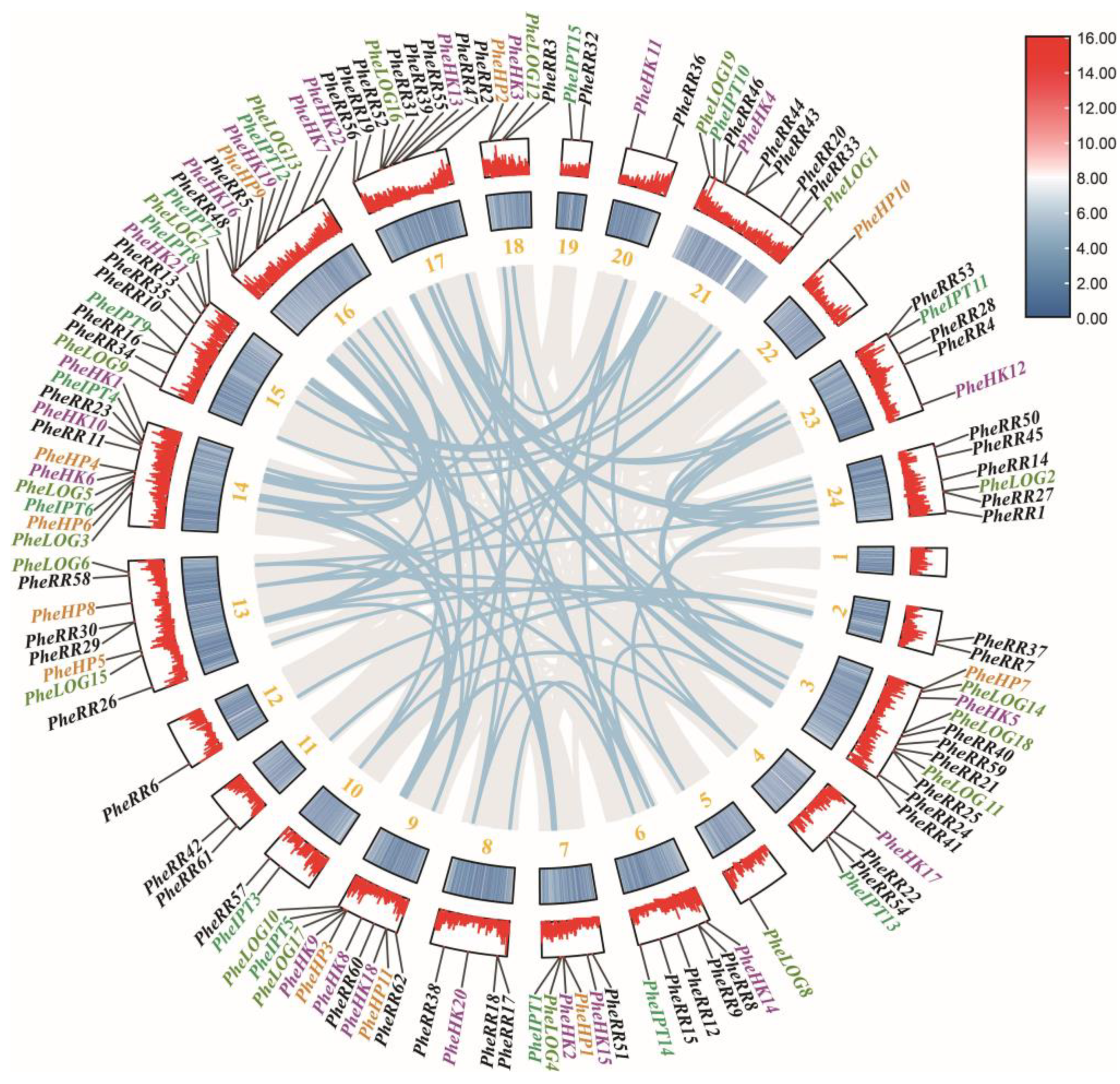 Ijms 24 10863 g002 Ijms 24 10863 g002