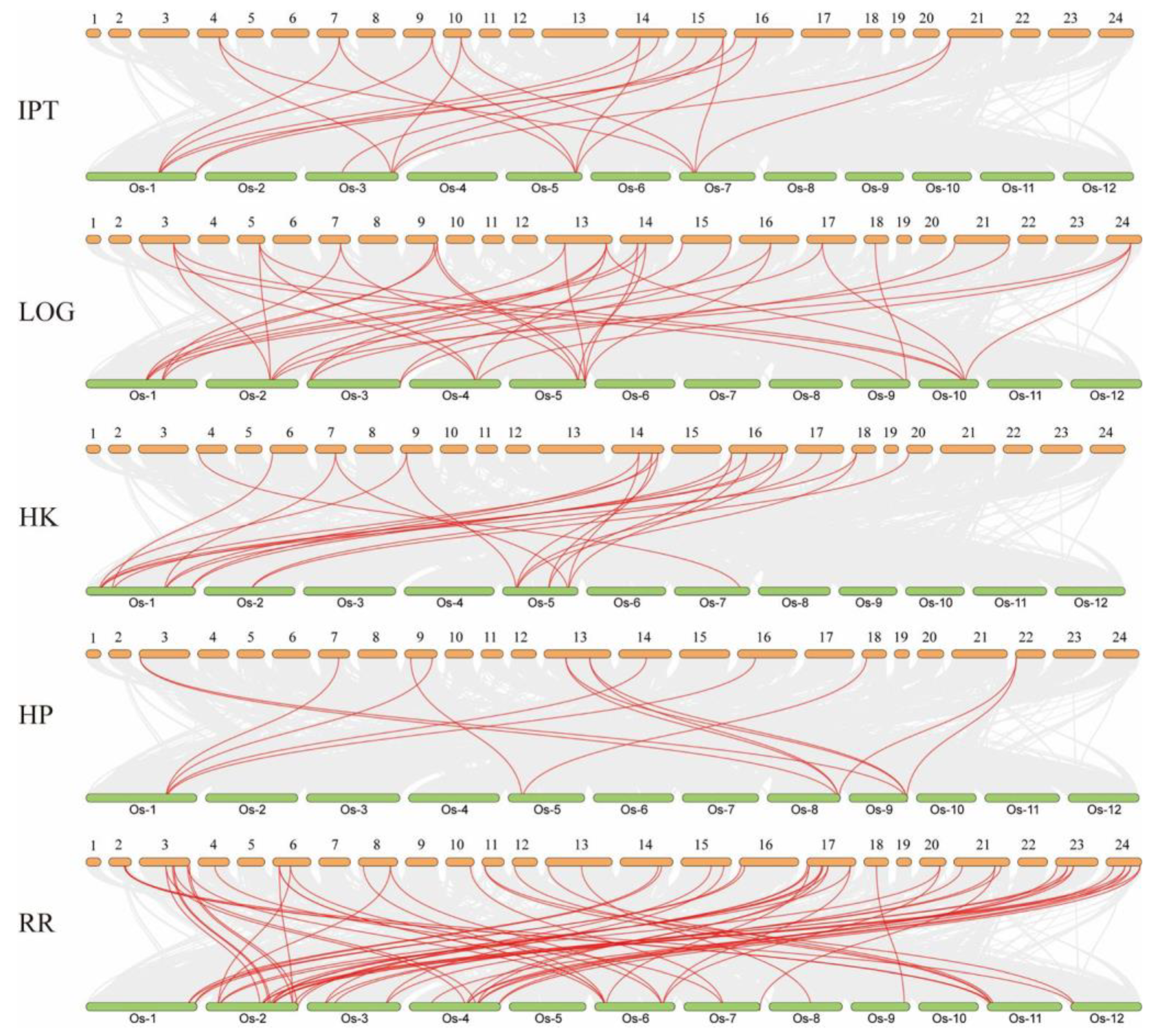 Ijms 24 10863 g003 Ijms 24 10863 g003