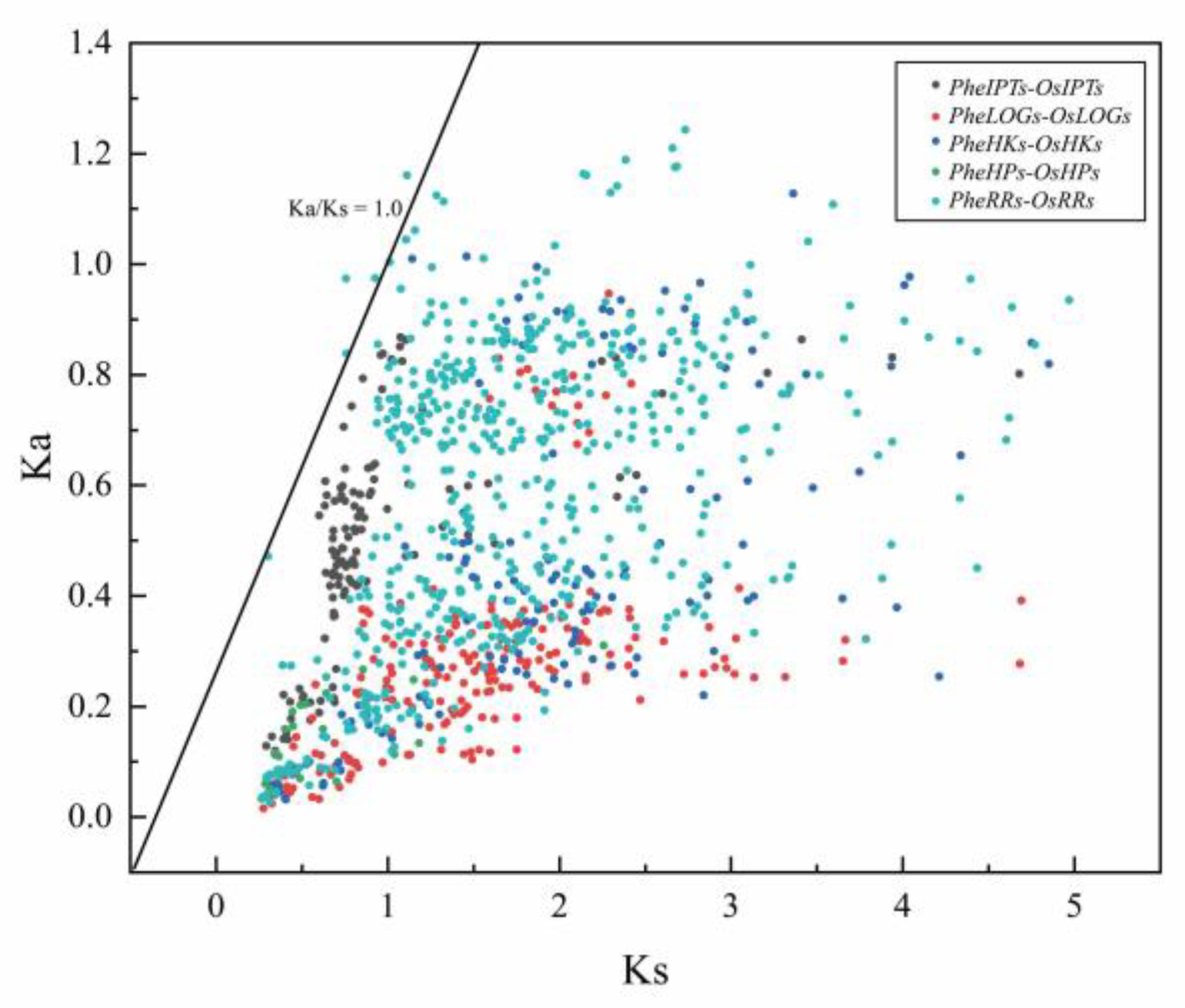 Ijms 24 10863 g004 Ijms 24 10863 g004