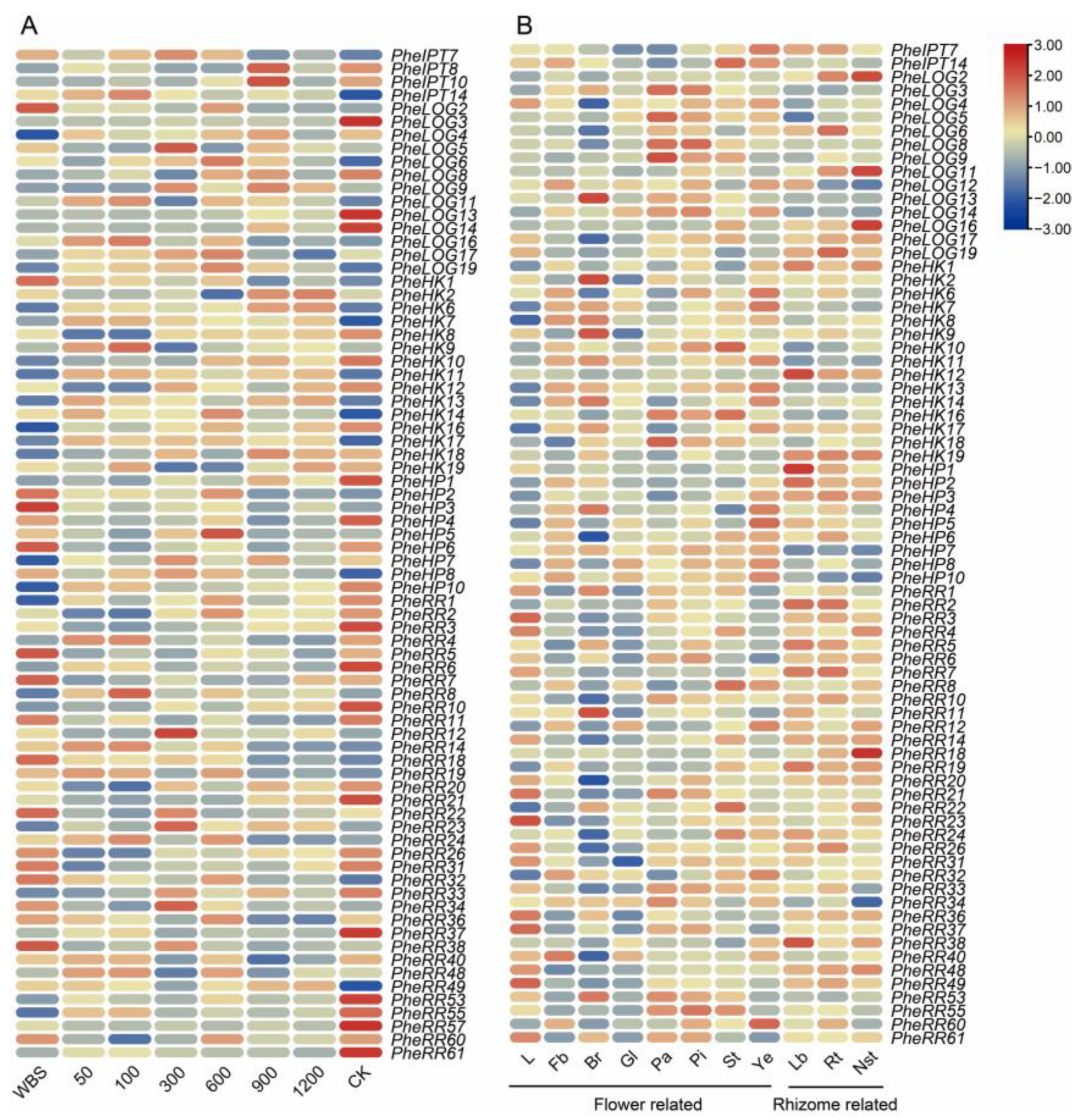 Ijms 24 10863 g005 Ijms 24 10863 g005